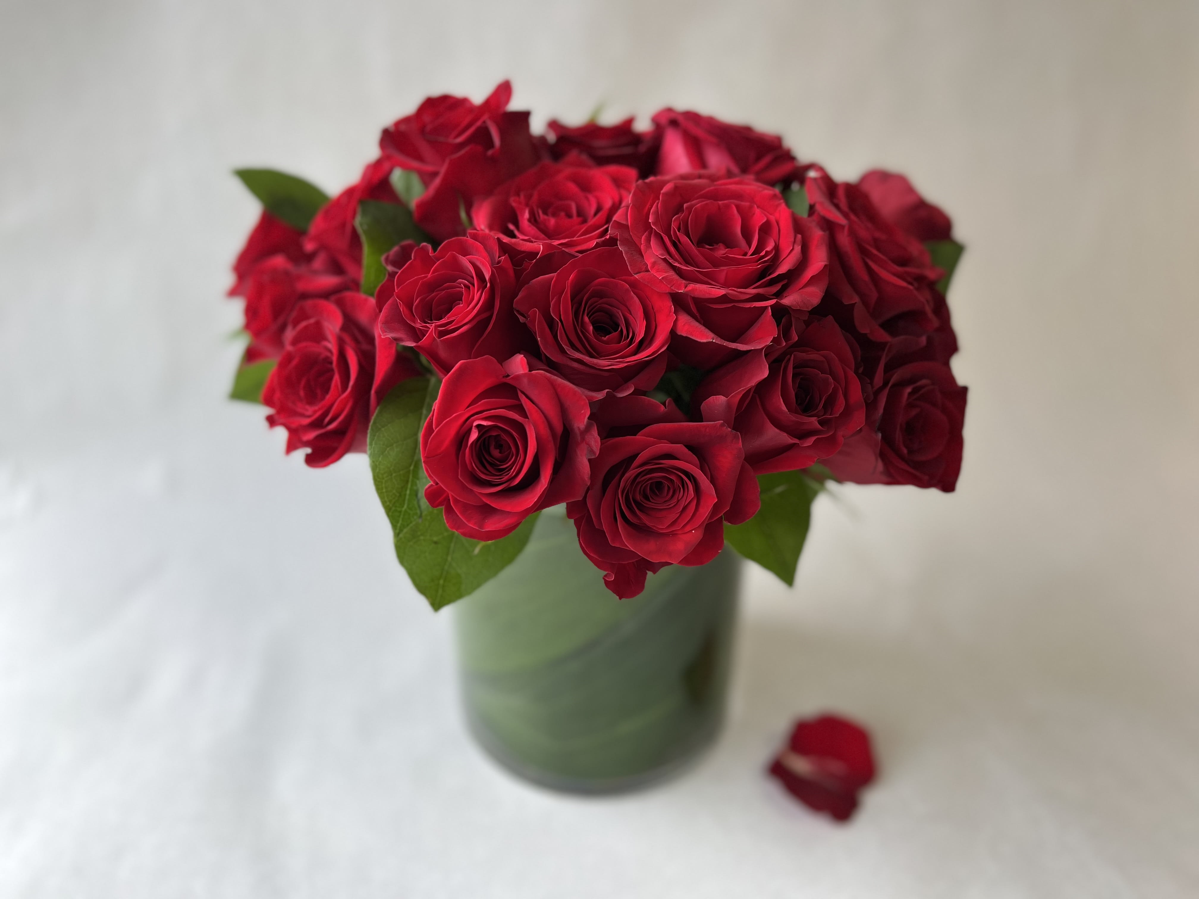 Two Dozen Pavé Red Roses - This low and lush pavé style red roses offers an elegant spin on a romantic classic. This arrangement includes 24 stems of premium red roses in a glass cylinder with a leaf wrap. 