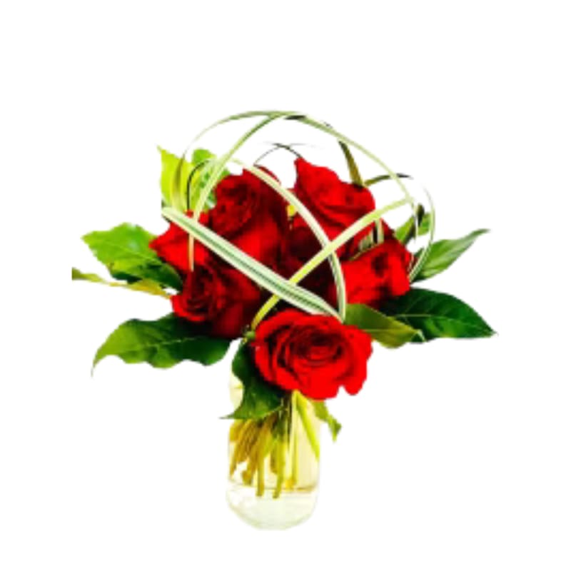 12 contemporary roses Available in 5 colors red white yellow pink lavender - 12 contemporary rosesRed roses arranged in a cylinder vase modern and hip Available in five colors red white pink lavender and yellow