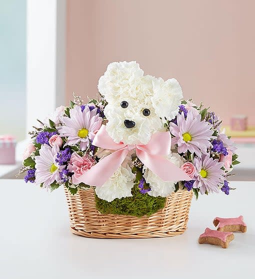 It’s a-DOG-able® Baby GIRL - When it comes to new baby gifts, our truly original arrangement is the pick of the litter! Fresh white carnations are expertly crafted in the shape of an adorable dog, surrounded by a mix of fresh, colorful blooms and nestled inside a charming basket. Choose “baby girl” or “baby boy” for a sweet surprise that’ll leave the new parents smiling.  It’s a-DOG-able® Baby GIRL is a one-sided arrangement of white carnations crafted in the shape of a dog complete with eyes and nose includes a mix of pink limonium and mini carnations, lavender daisy poms, purple statice and fresh greenery. Arrangement measures overall approximately 11"H x 11"L *colors and varieties may vary due to availability