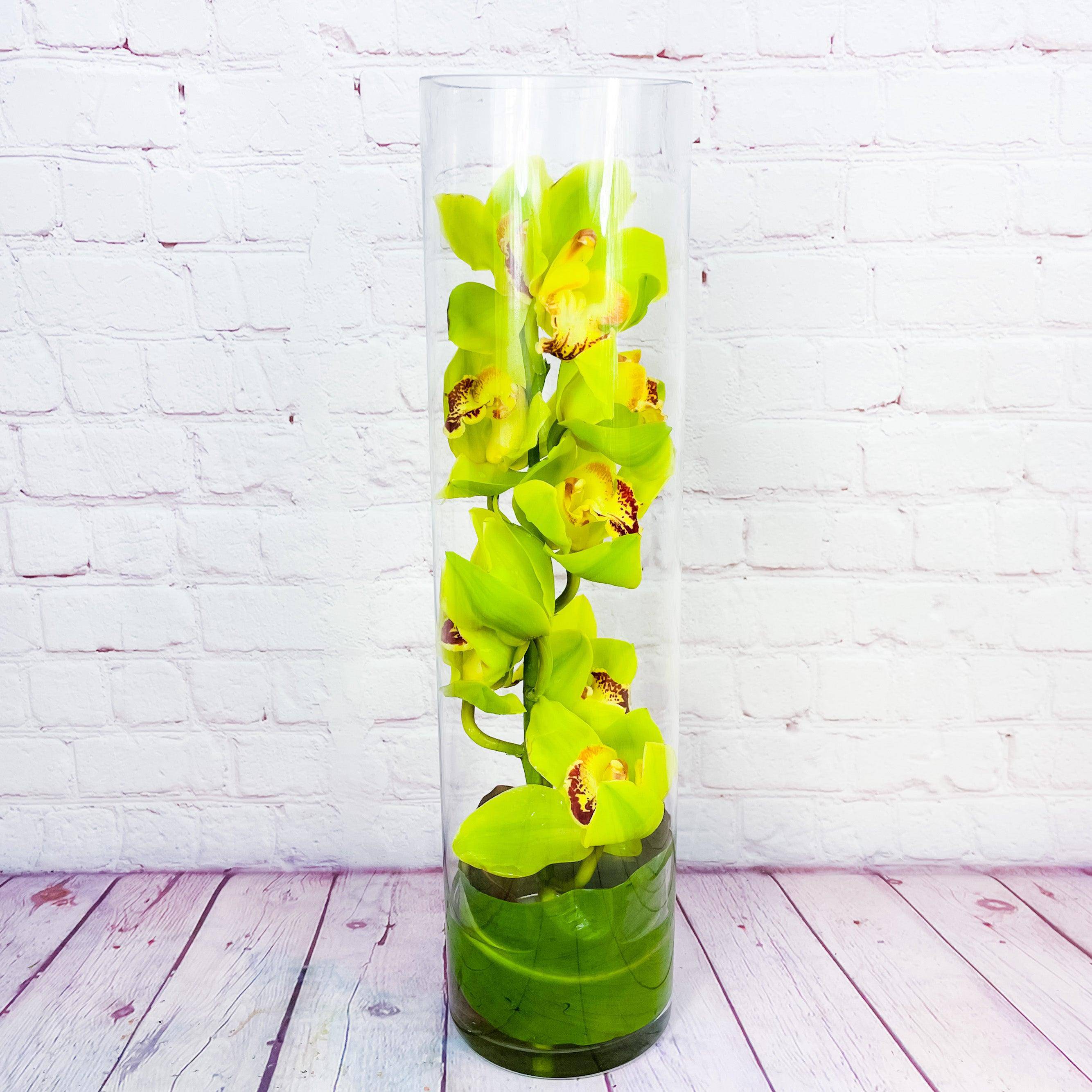 Zensational - Make a modern statement with submerged green orchids! A simple glass cylinder and tropical ti leaves are the only additions to this minimal, Zen arrangement. Improve your feng shui with a stem of green cymbidium orchids and variegated ti leaves, submerged under water in a tall cylinder vase.Measures:&nbsp;19" H X&nbsp;6" WOrientation: All-Around