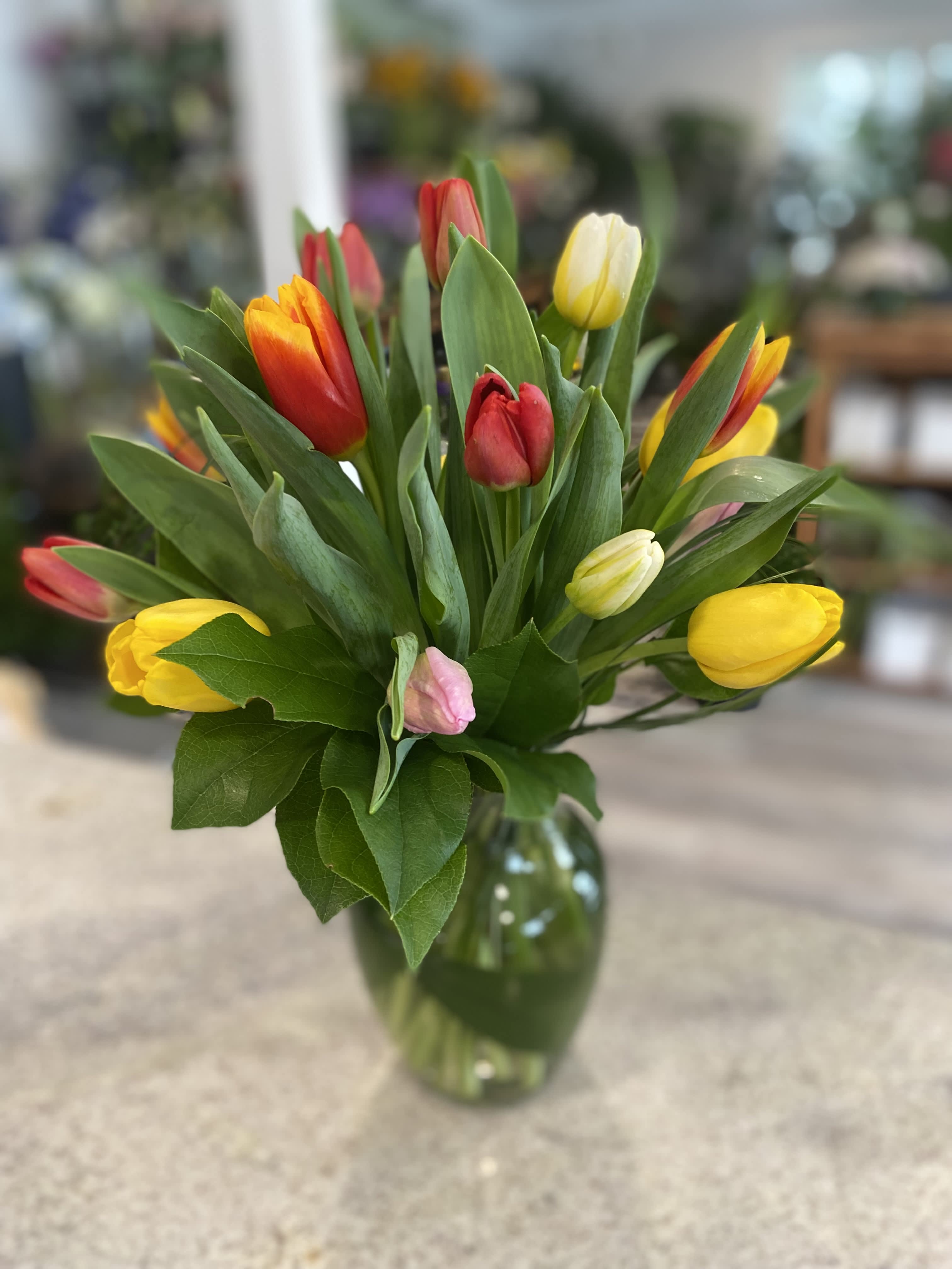 Tantalizing Tulips  - A beautiful vase arrangement of 20 mixed colored premium Vanco tulips. Deluxe version will include 30 stems , premium 40 stems. 