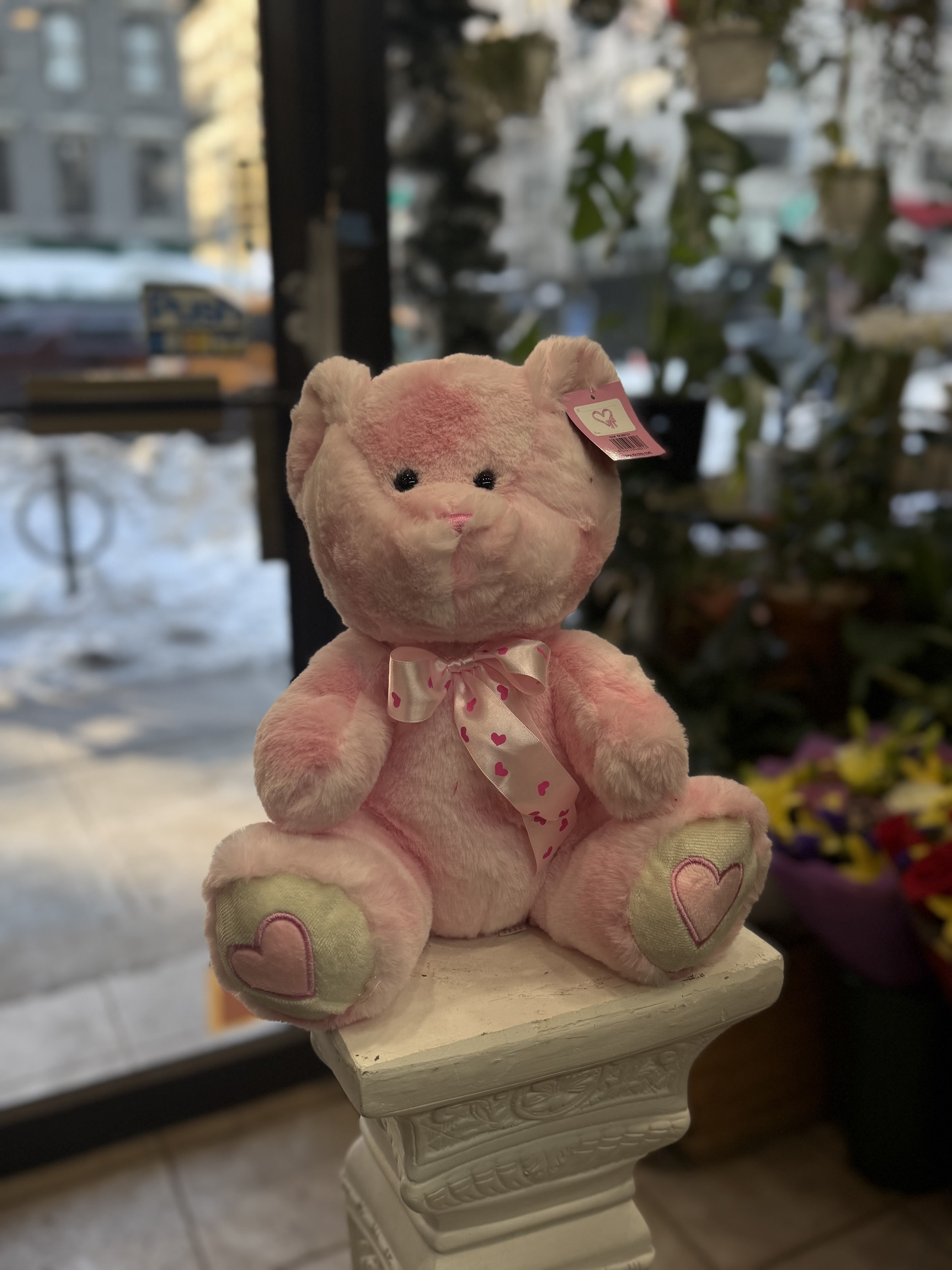 Pinky - This charming 12” light-up pink teddy bear is designed to steal hearts. With plush pastel fur, delicate heart details, and softly glowing cheeks, it creates a warm and magical glow perfect for romantic occasions. Sitting upright and ready to cuddle, it’s an ideal gift for Valentine’s Day, anniversaries, or to show someone special how much you care.