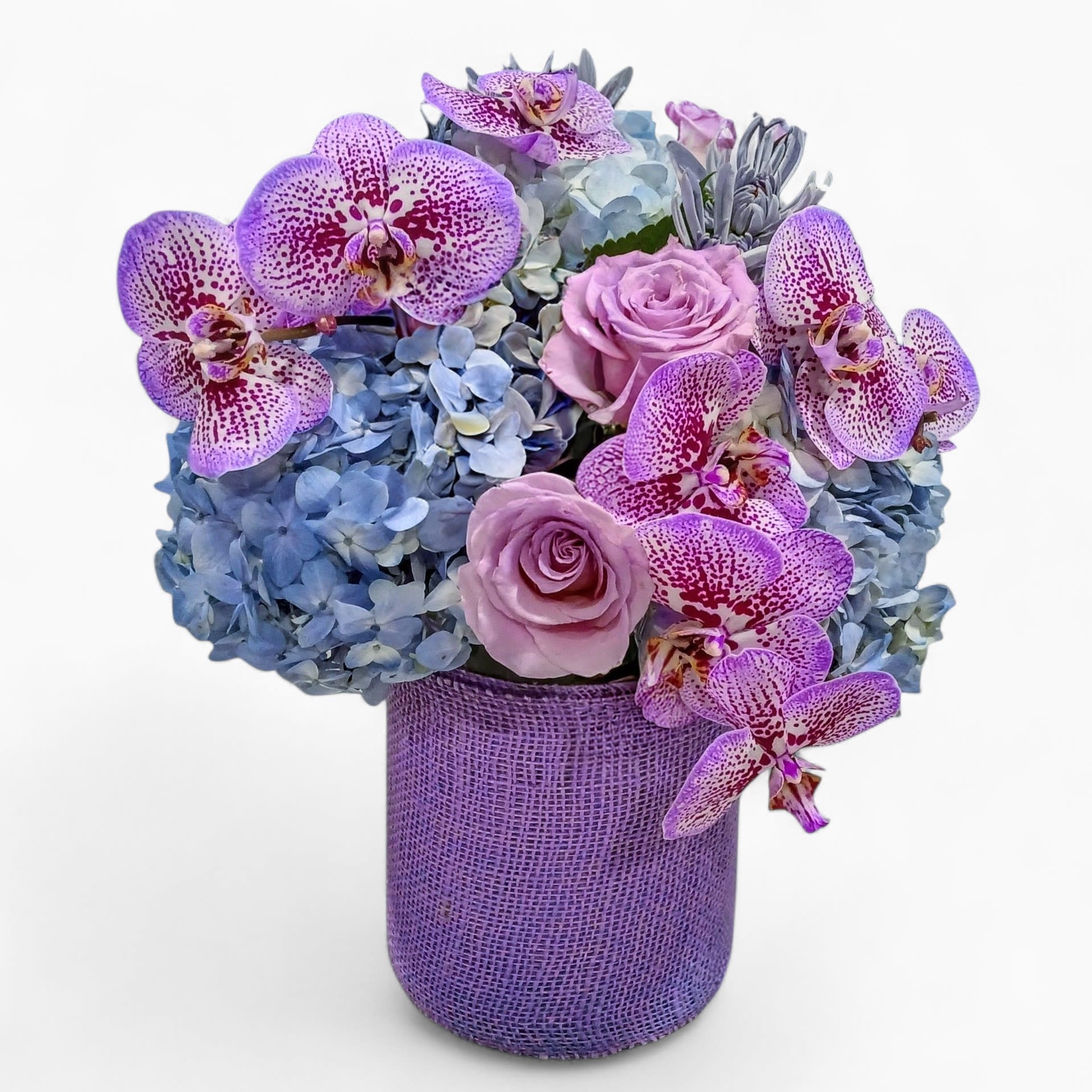 Best Seller - Enchanted Violet Orchid &amp; Rose Bouquet | Same Day Delivery Haddon Township &amp; Haddonfield - Our Best Seller, the Enchanted Violet Orchid &amp; Rose Bouquet, is a customer favorite for good reason. Featuring elegant roses, exotic orchids, hydrangeas, and seasonal purple blossoms, each arrangement is hand-designed in a modern glass cube vase and finished with a soft violet jute ribbon.    Perfect for birthdays, anniversaries, thank-you, or just because - this bouquet delivers beauty and joy every single time.  At Joey-Lynn's Flowers, we've been handcrafting fresh floral designs with love an care for over 30 years. We proudly provide local same-day flower delivery to Haddon Township 08108, Haddonfield 08033, and nearby surrounding towns.  Choose our most-loved bouquet and send happiness today with flower that make every occasion unforgettable.