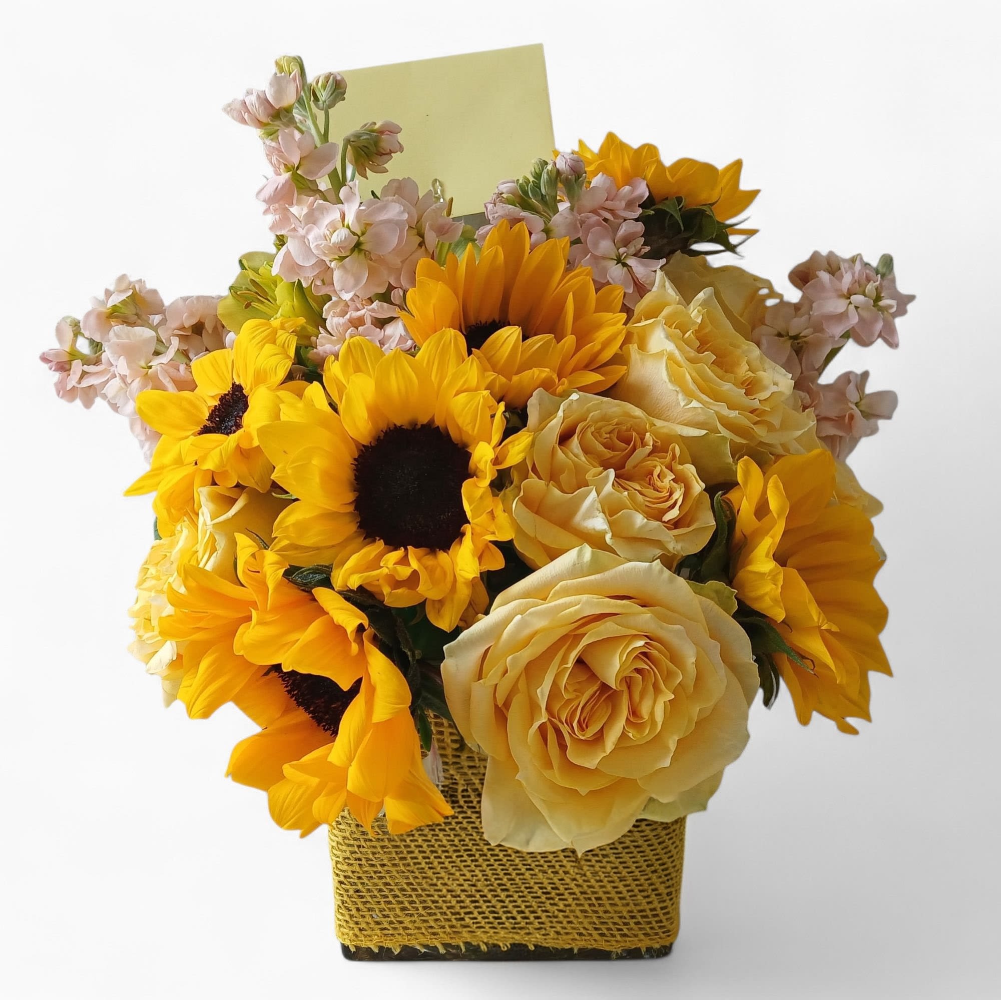 Citrus Peach Beauty Designer's Choice - Send this beauty today to make them smile for any reason filled with blush and yellow blossoms of the day arranged in a modern glass cube vase. Sweet and thoughtful. Always made unique and extra special each time. Send happiness..