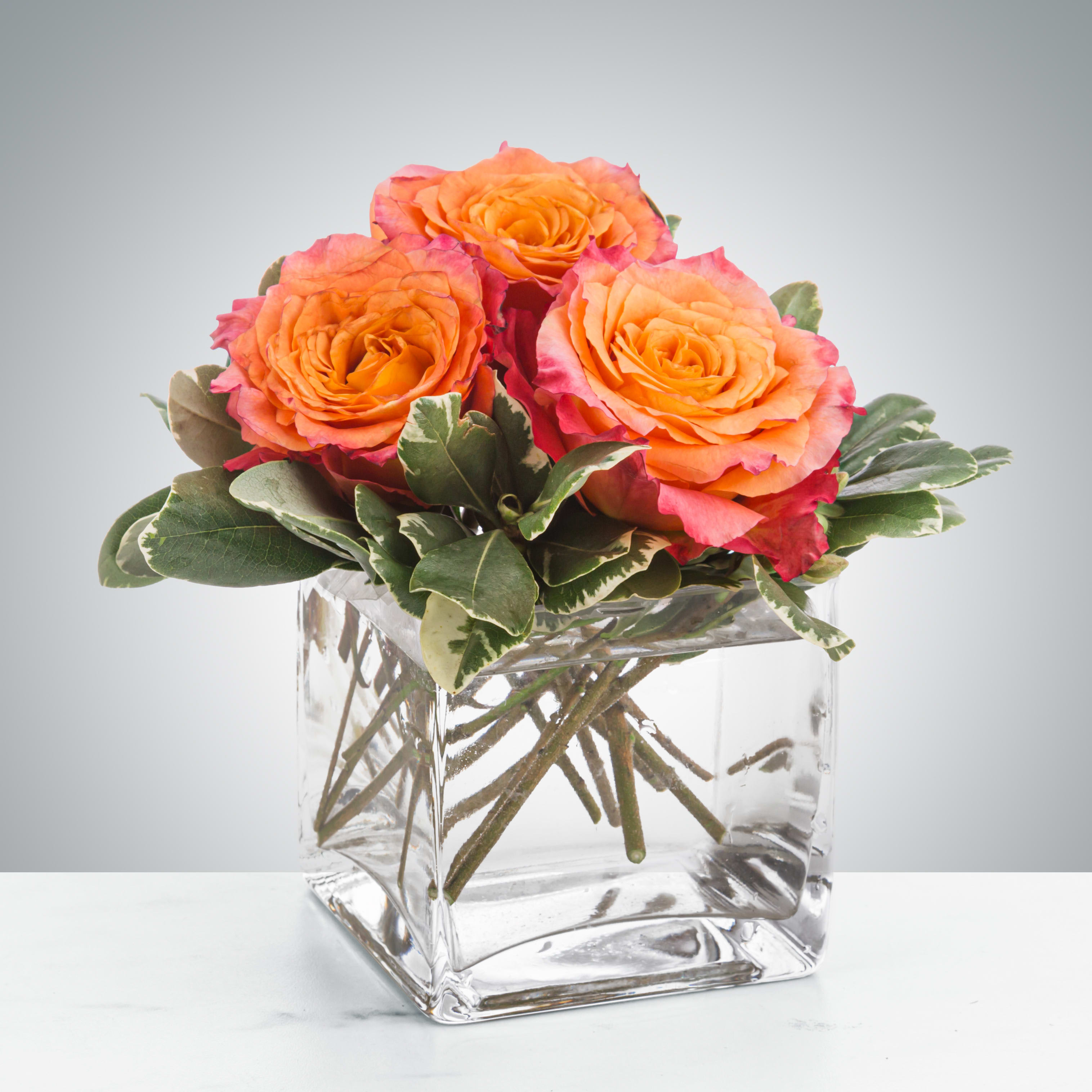 Petite Sunset  - A petite 3 rose gift is a perfect little "thinking of you" arrangement. Spirit roses are so beautiful on their own, they don't need much else to leave an impact.  Approximate Dimensions: 5"D x 5"H