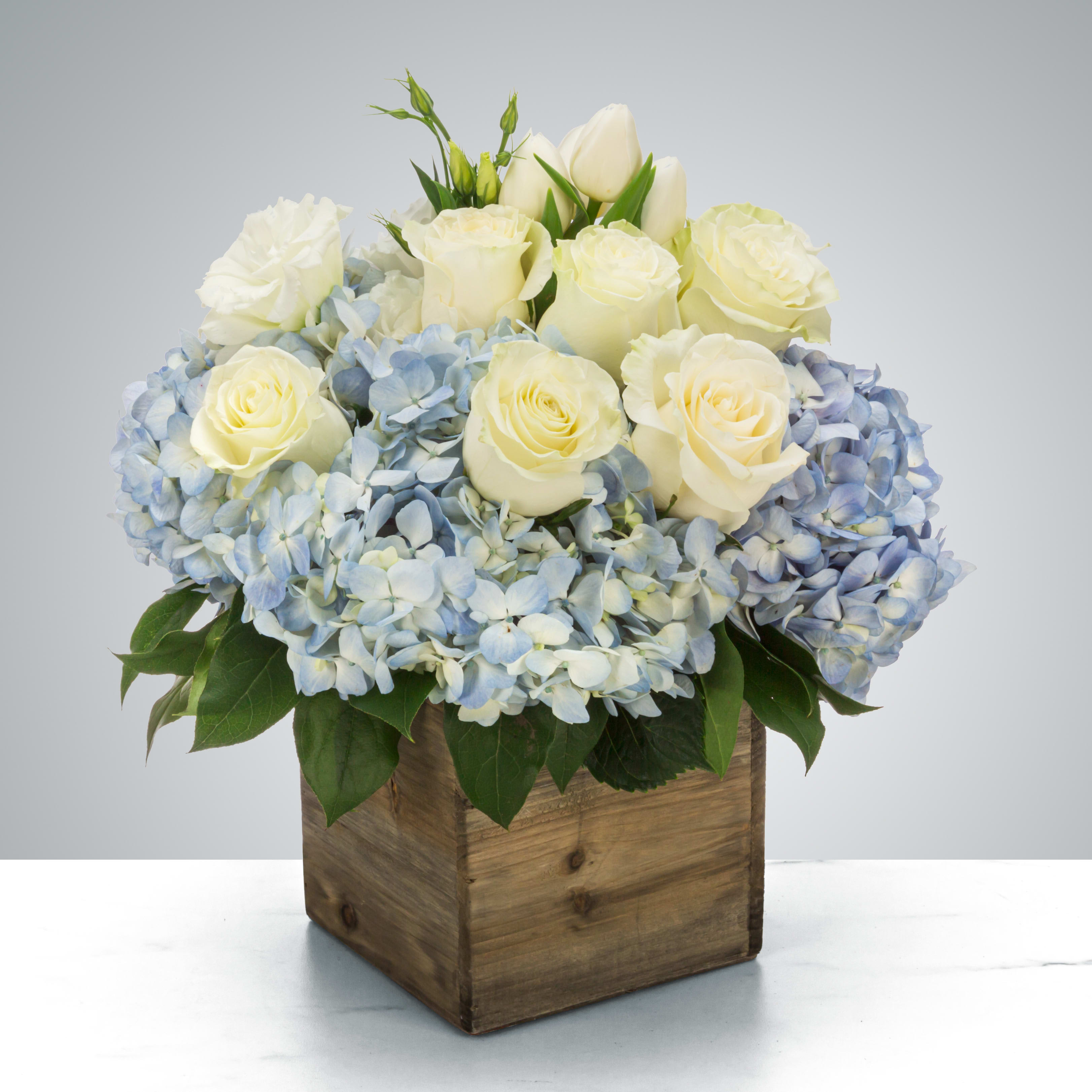 Sail Away - Send something to let them know you care. Featuring blue hydrangea, white tulips, and white roses this arrangement is a nice way to show you are thinking of somebody in their time of need. 