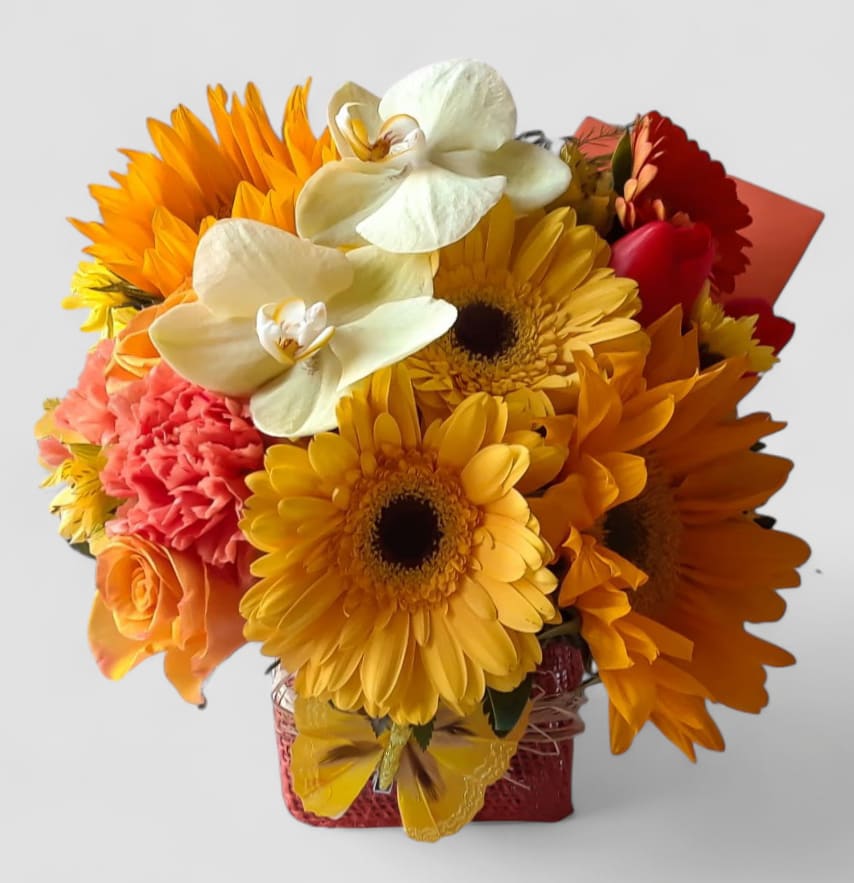 Daisies For You Bouquet Designer's Choice - Daisies of the day arranged in a modern glass cube style vase wrapped in peach jute ribbon. So pretty and perfect to send today to send them a smile. Always made extra special and unique each time. Send happiness.