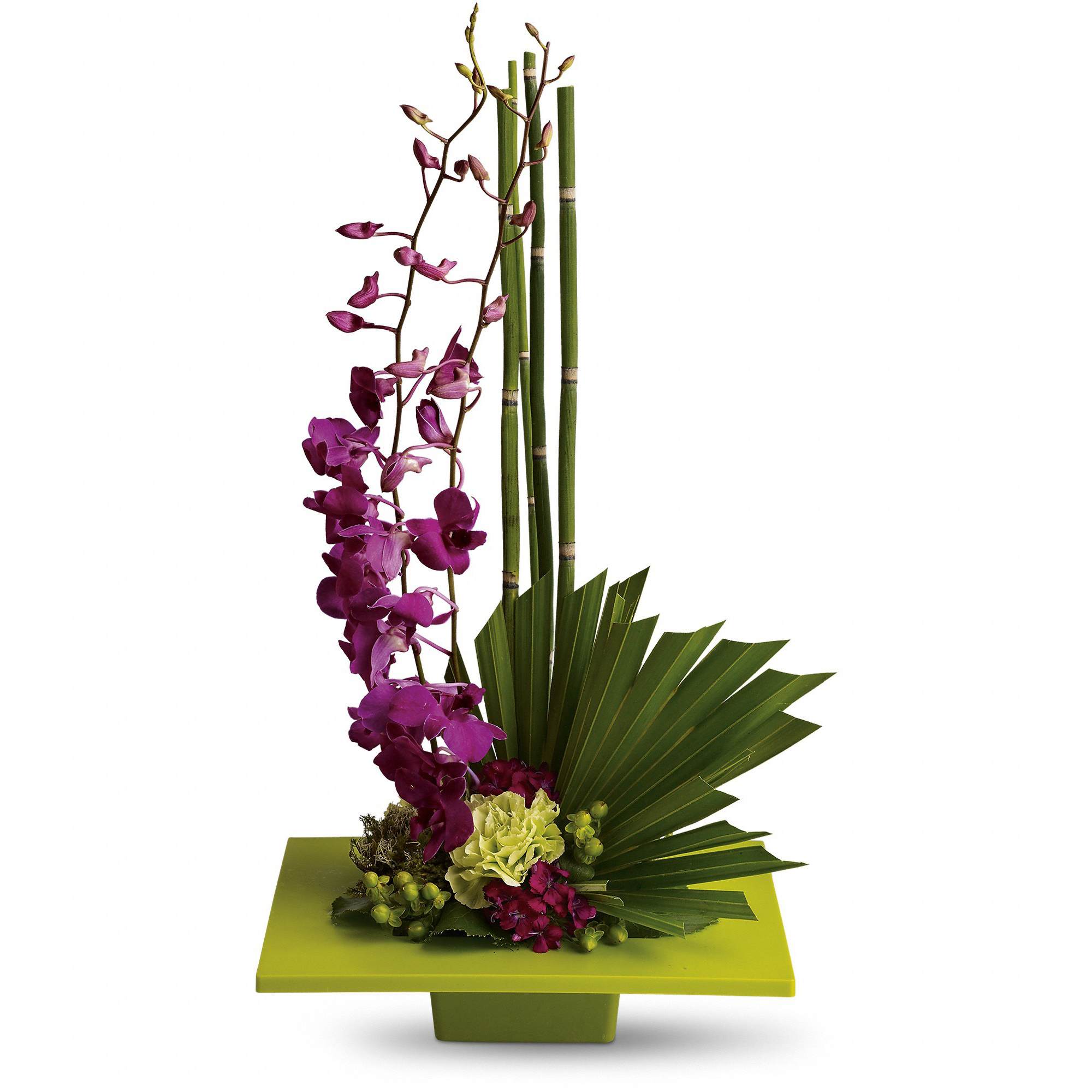 Zen Artistry - Purple dendrobium orchids, green carnations, dark pink Sweet William, an emerald palm leaf and other tropical greens are arranged in a square kiwi-colored container. Perfect when you've got a yen to send Zen! Approximately 12 1/4" W x 23" H. T81-1A 