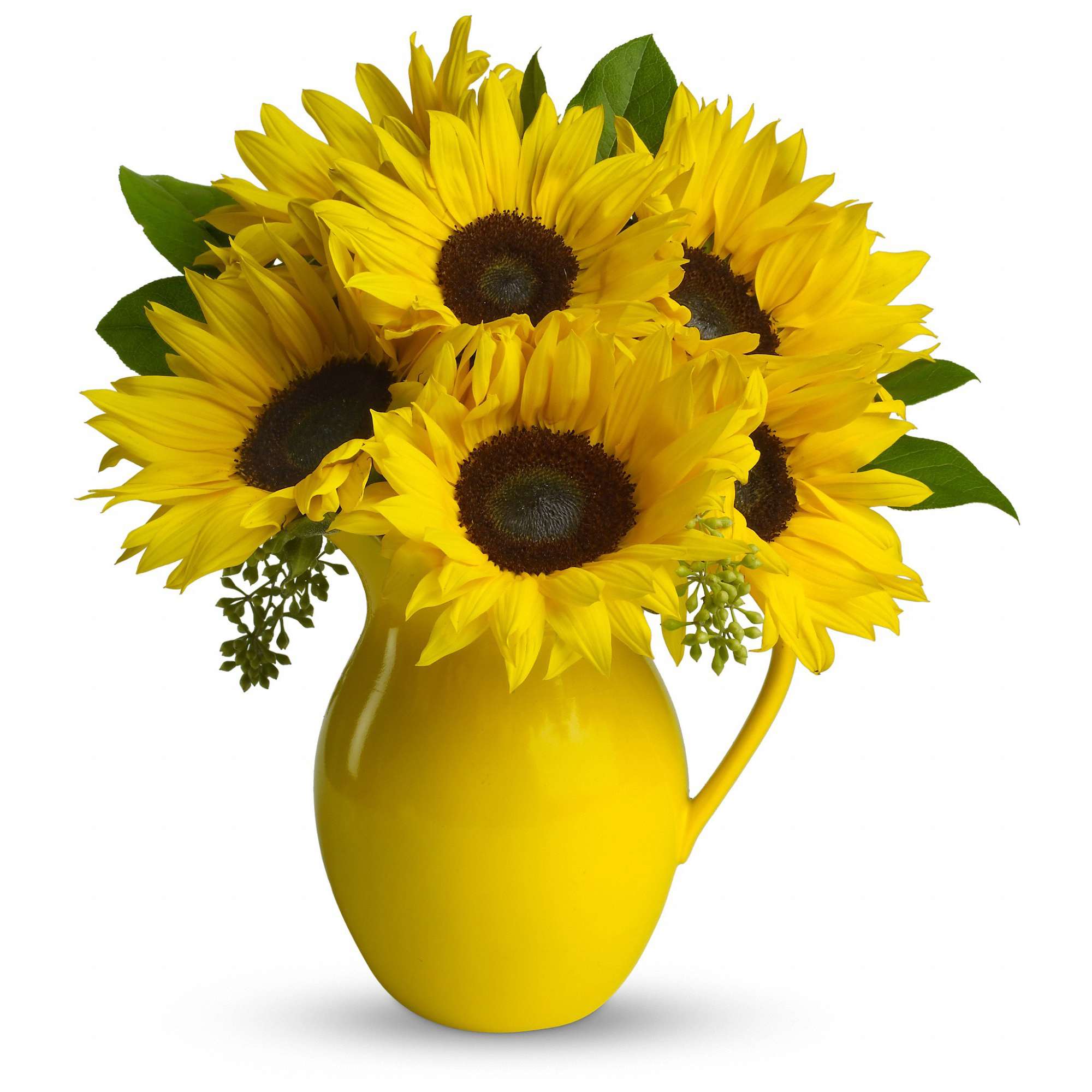Sunny Day Pitcher of Sunflowers - Pour on the fun by sending this dazzling bouquet of summer's brightest blooms! Great if you're invited to a pool party, BBQ or just want to brighten up someone's day.  Stunning sunflowers, salal and seeded eucalyptus are beautifully arranged in a brilliant yellow ceramic pitcher. This gift will be serving up fun and sun for years to come.  Approximately 13" W x 15 1/2" H  Orientation: All-Around      As Shown : T153-1A     Deluxe : T153-1B     Premium : T153-1C  