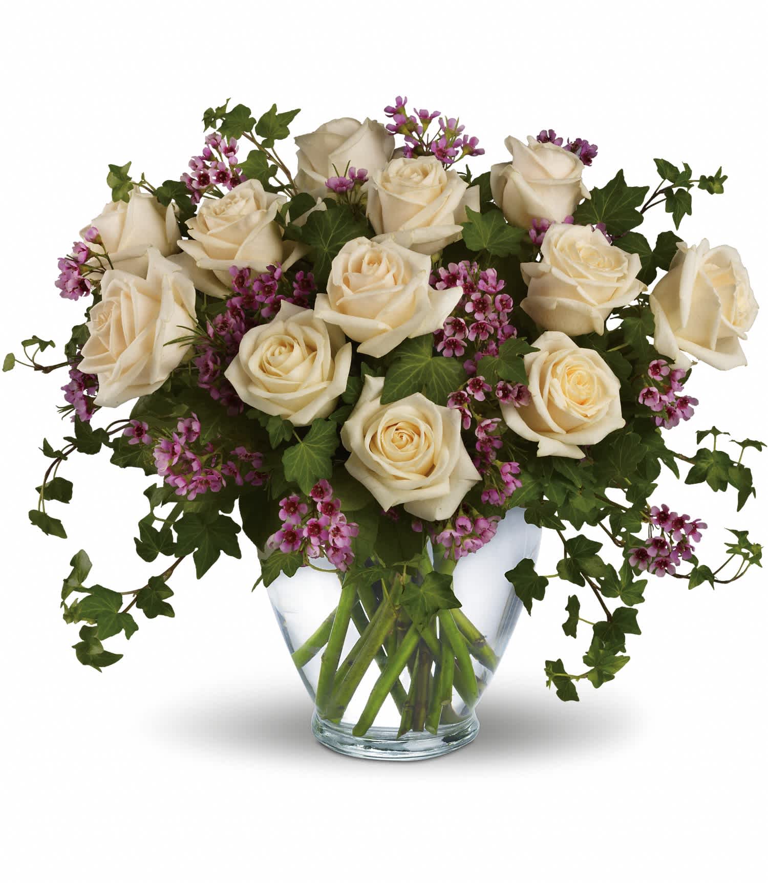 Victorian Romance - A dozen crÃ¨me roses, lavender waxflower and ivy are perfectly arranged in a serenity glass vase. Approximately 17" W x 15" H    T69-1A