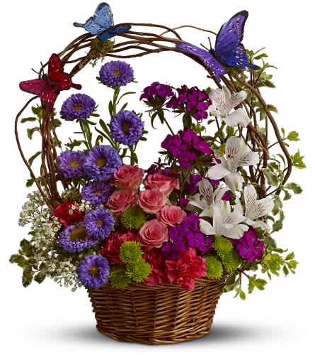 Dancing Butterflies - A mix of fresh flowers such as spray roses, button spray chrysanthemums, Matsumoto asters, miniature carnations and Sweet William â in shades of purple, light pink, white, fuchsia and green â is presented in a basket adorned with faux butterflies and curly willow. Approximately 14" (W) x 16" (H)    TFWEB513