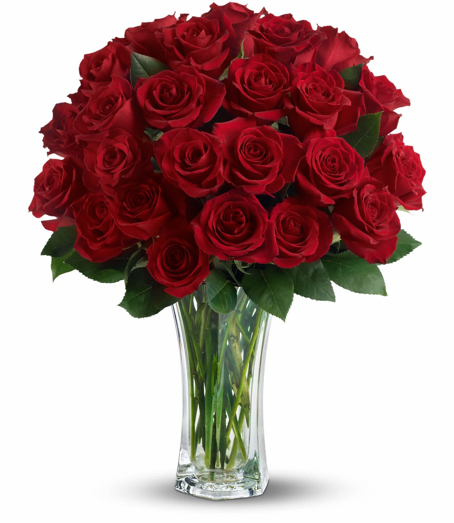 Love and Devotion - Long Stemmed Red Roses - The spectacular bouquet features two dozen red roses accented with salal. Approximately 15" W x 22" H    TRS01-1A
