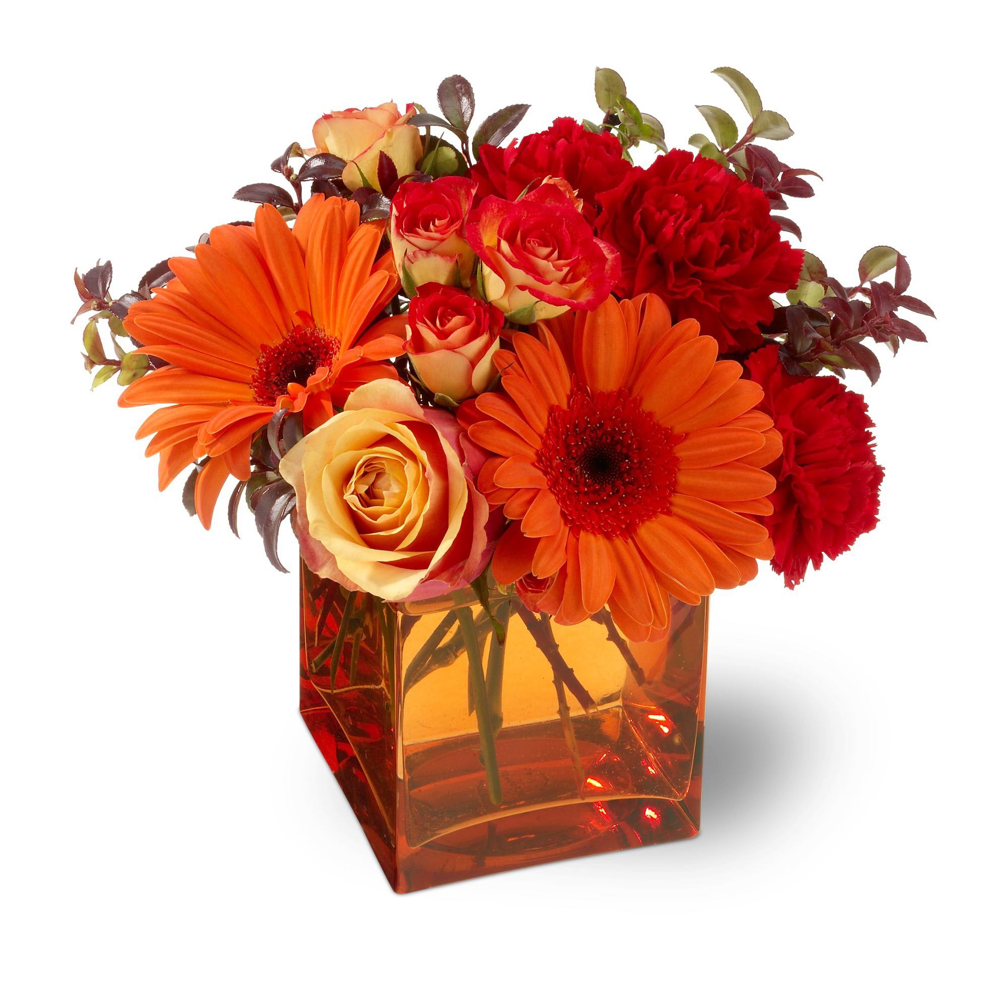 Sunrise Sunset - Sunrise, sunset, swiftly fly the days. So don't let another day go by without letting someone you know that you are thinking of them. This delightful arrangement will brighten anyone's morning, noon and night. 
