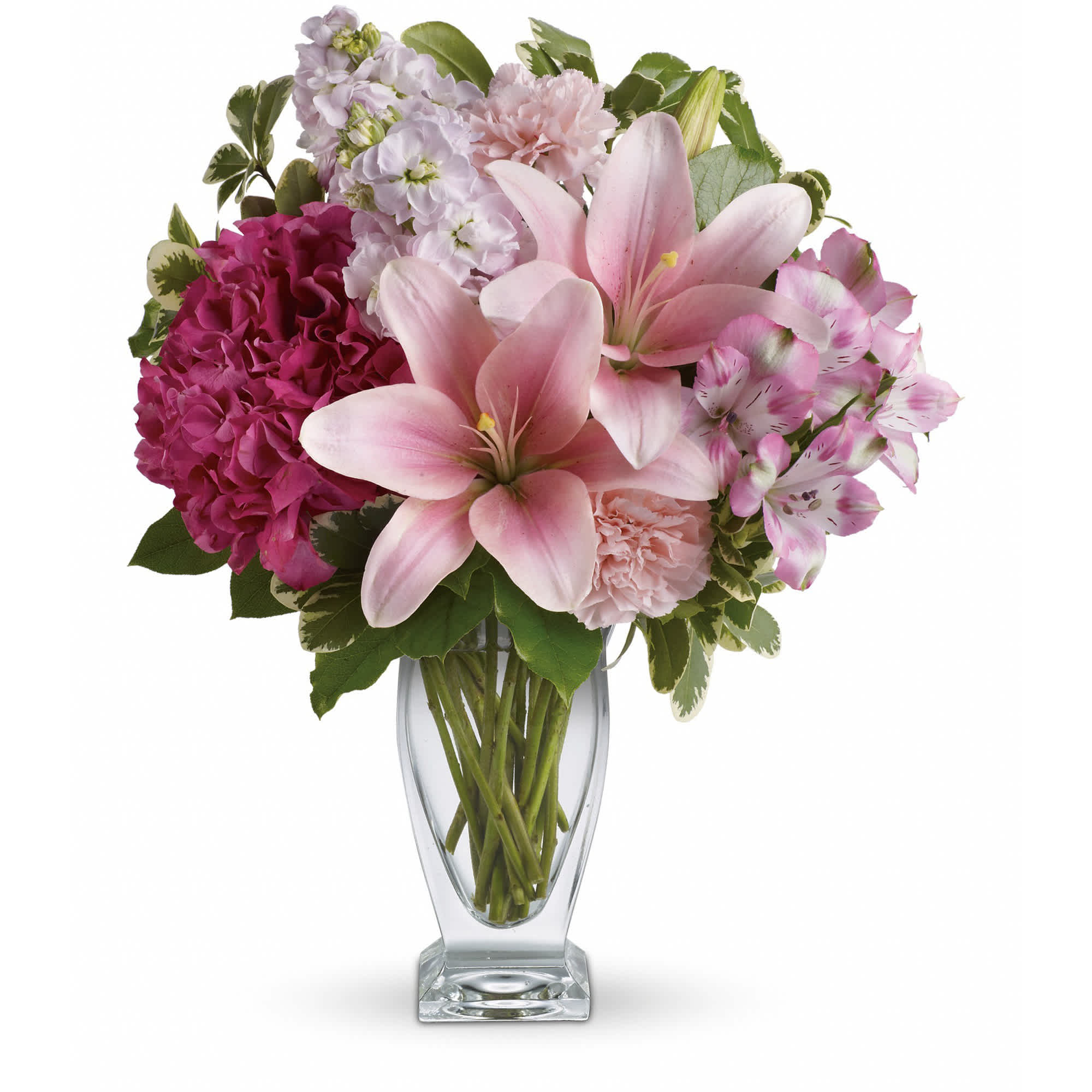 Blush of Love Bouquet - Celebrate your love with this beautifully blushing bouquet! Luxurious lilies, delicate hydrangea and fragrant stock delight her senses, soothe her soul, and tickle her fancy. It's a loving gift she won't soon forget!  Includes pink hydrangea, asiatic lilies, alstroemeria, carnations and stock, accented with fresh greens. Delivered in a Couture vase.  Approximately 14" W x 17" H  Orientation: One-Sided  As Shown : TEV21-1A Deluxe : TEV21-1B Premium : TEV21-1C