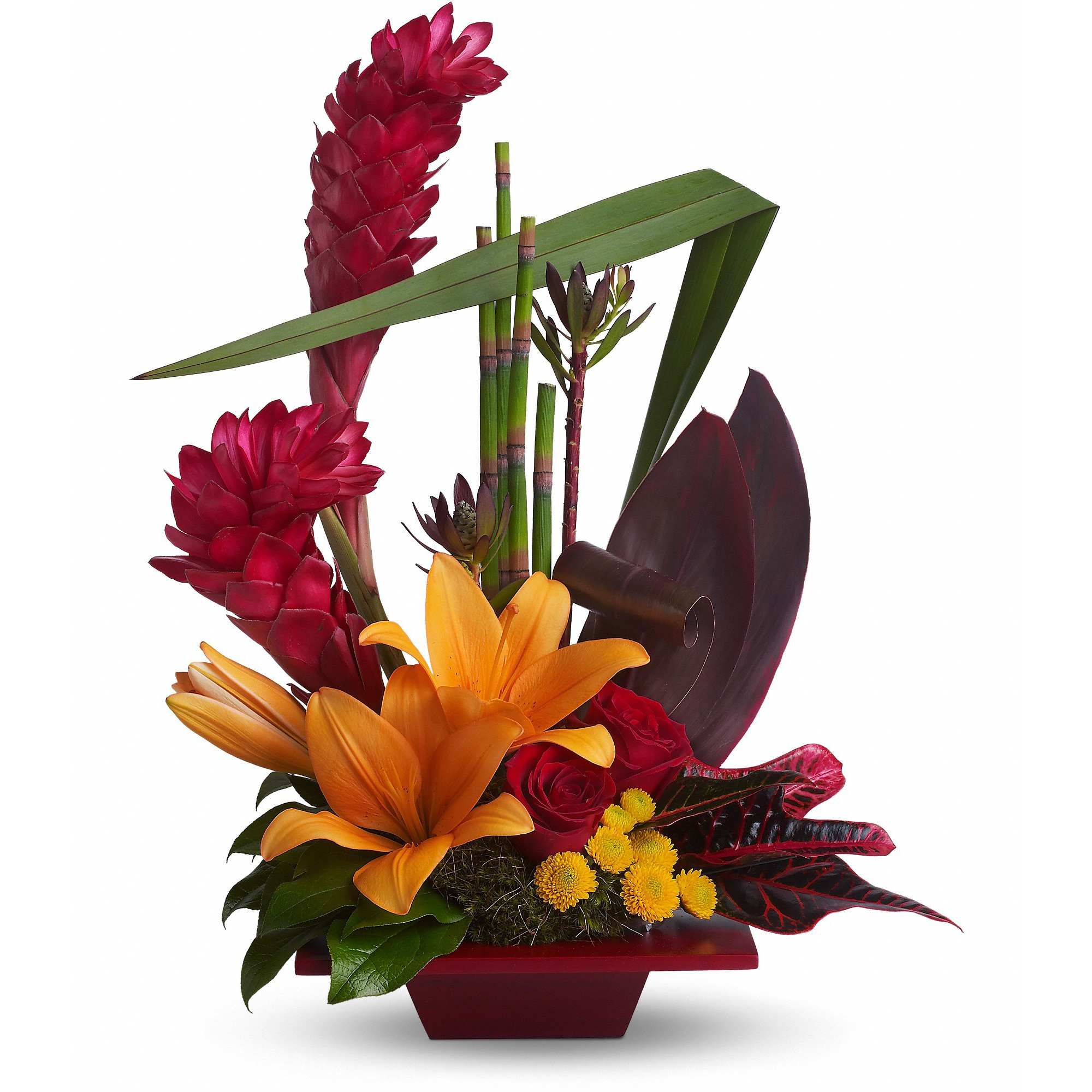 Tropical Bliss - Now this is bliss! This tropical and tasteful creation is a beautiful and dramatic way to say something wonderful without using any words.  Dark red roses, orange asiatic lilies, green leucadendron, yellow button spray chrysanthemums, and tropical greens are delivered in a red bamboo dish. Don't miss this chance to send bliss!  Approximately 16" W x 20" H  Orientation: One-Sided      As Shown : T85-1A     Deluxe : T85-1B     Premium : T85-1C  