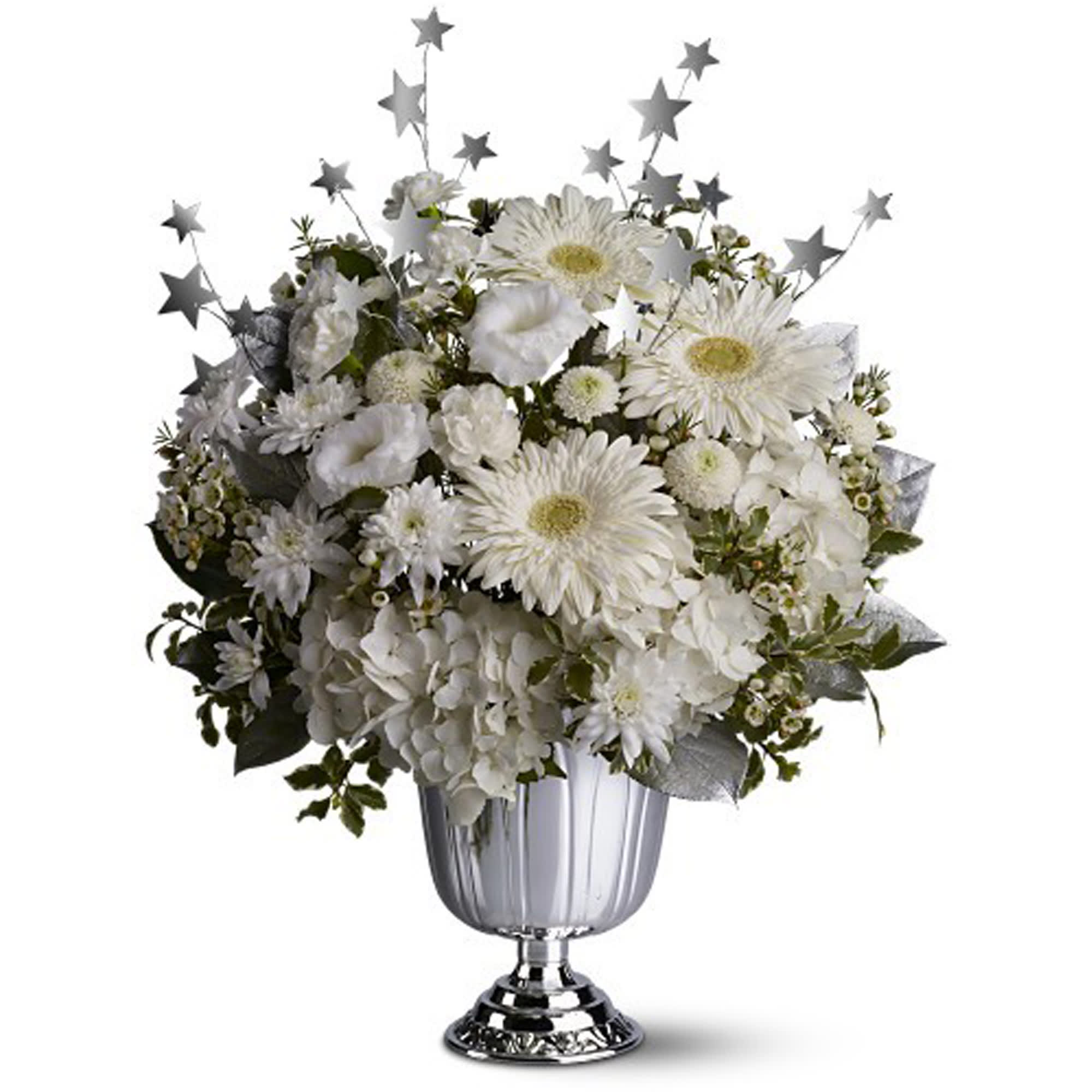 Shimmer and Shine - Shake, shimmer and shine on New Year's Eve - liven up your party or event with a mix of pure white flowers, sporting a halo of silvery stars, and delivered in a silver-toned urn. A fabulous way to ring in the new year.    A mix of fresh white flowers such as hydrangea, gerberas, miniature carnations, lisianthus and chrysanthemums â accented with greenery and silvery stars â is delivered in a silver-toned urn.    Approximately 11" (W) x 16" (H)    Orientation: All-Around    As Shown : TFWEB351