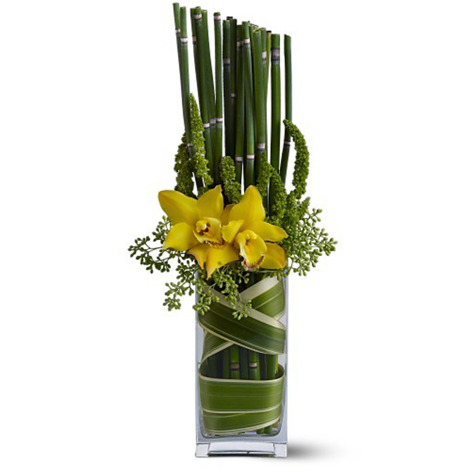 Orchid Light - This splendid display of two bright yellow cymbidium orchids - nestled in a vase with equisetum stalks and greenery, and wound 'round with leaves - is a modern and thoughtful gift for a good friend or business associate.    Yellow cymbidium orchids and equisetum â accented with amaranthus and equisetum â are delivered in a rectangular clear glass vase lined with flax.    Approximately 4" (W) x 16" (H)    Orientation: One-Sided    As Shown : TFWEB392