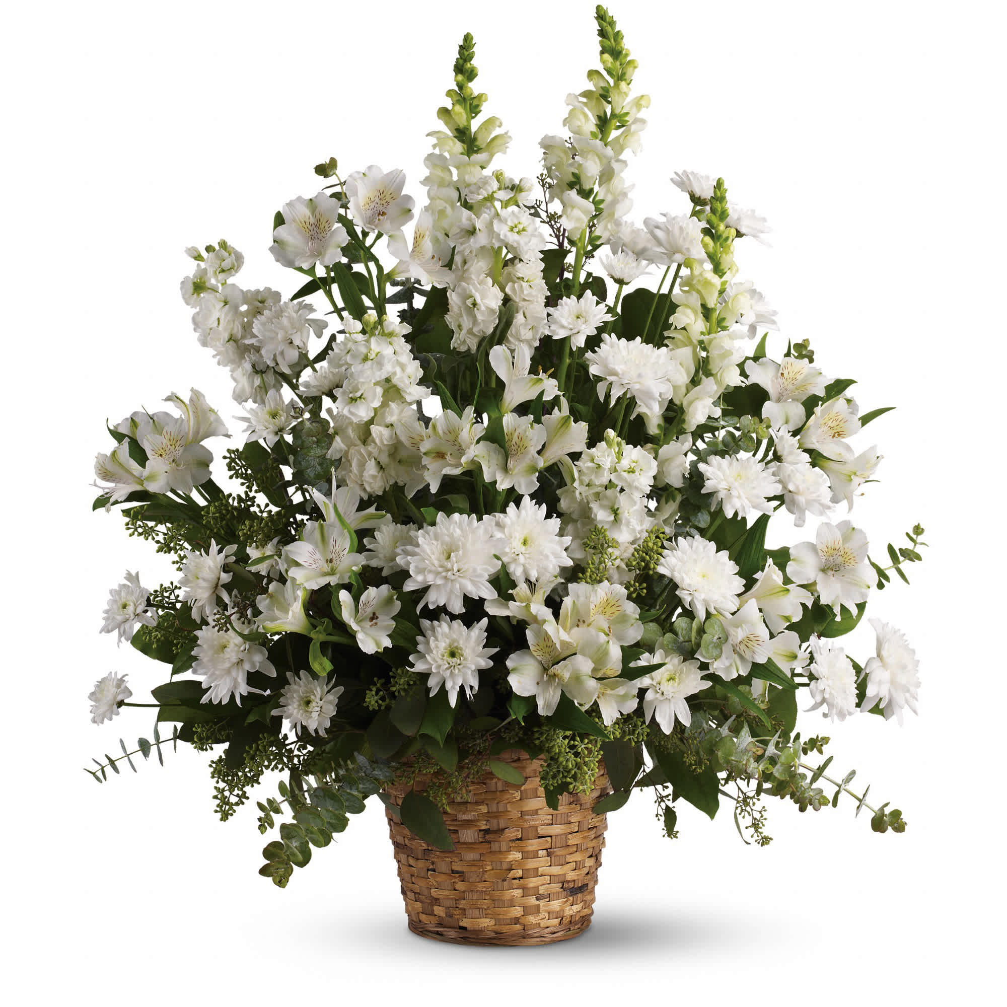 Heavenly Light - White alstroemeria, snapdragons and stock in a beautiful basket is a gift of caring that brings an air of serenity to the memorial service. Later, it will be a comfort for the family at home. 