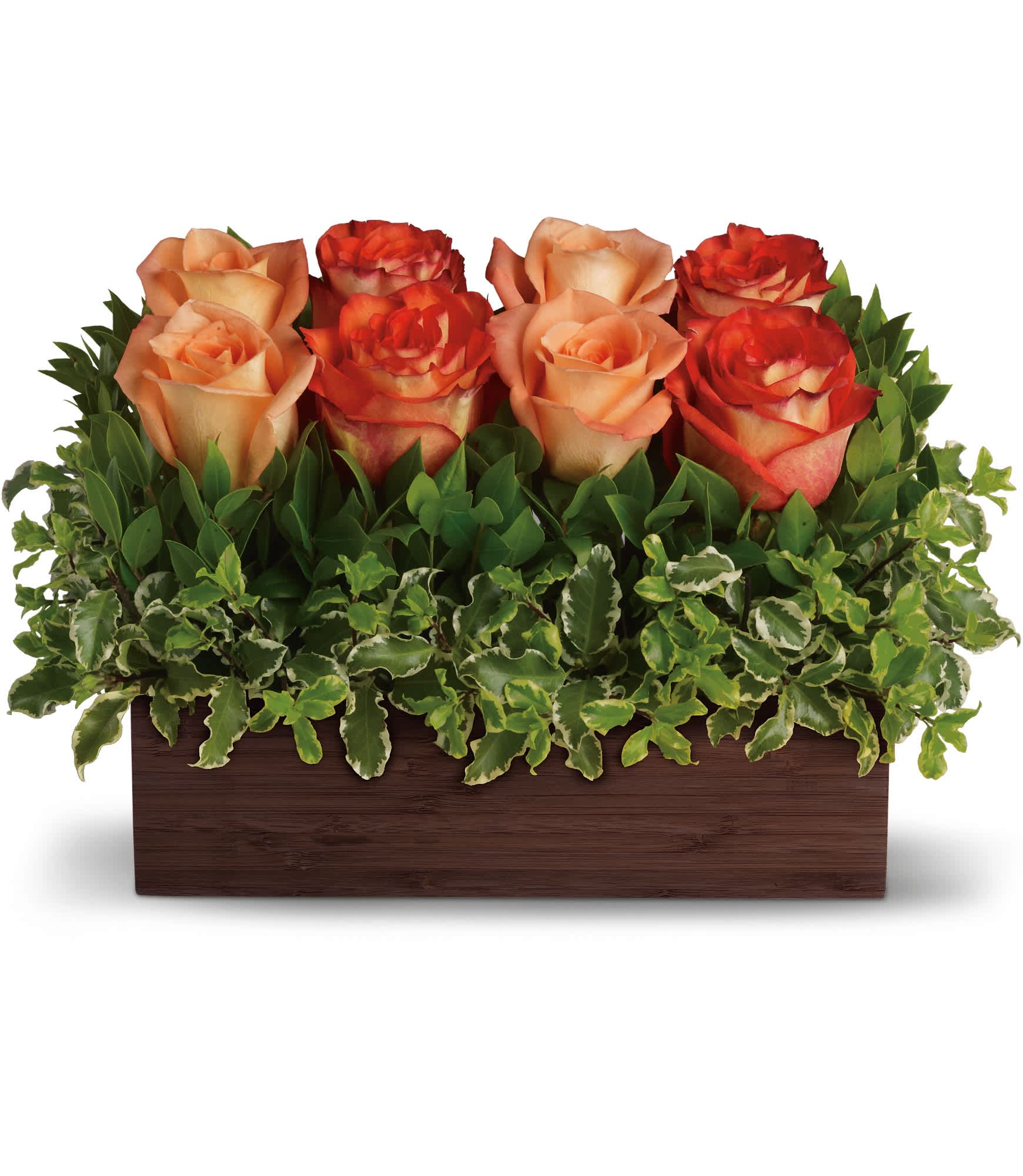Uptown Bouquet - An arrangement worthy of your uptown girl, this one rocks! Modern without being trendy. Gorgeous without being girly. If your woman knows style, this is the gift for her.  Outrageously beautiful dark orange and peach roses are nestled in a garden of greens and delivered in a unique bamboo rectangle. Go ahead: show her that you get it.  Approximately 14" W x 9 1/2" H  Orientation: All-Around  As Shown : T72-3A Deluxe : T72-3B Premium : T72-3C