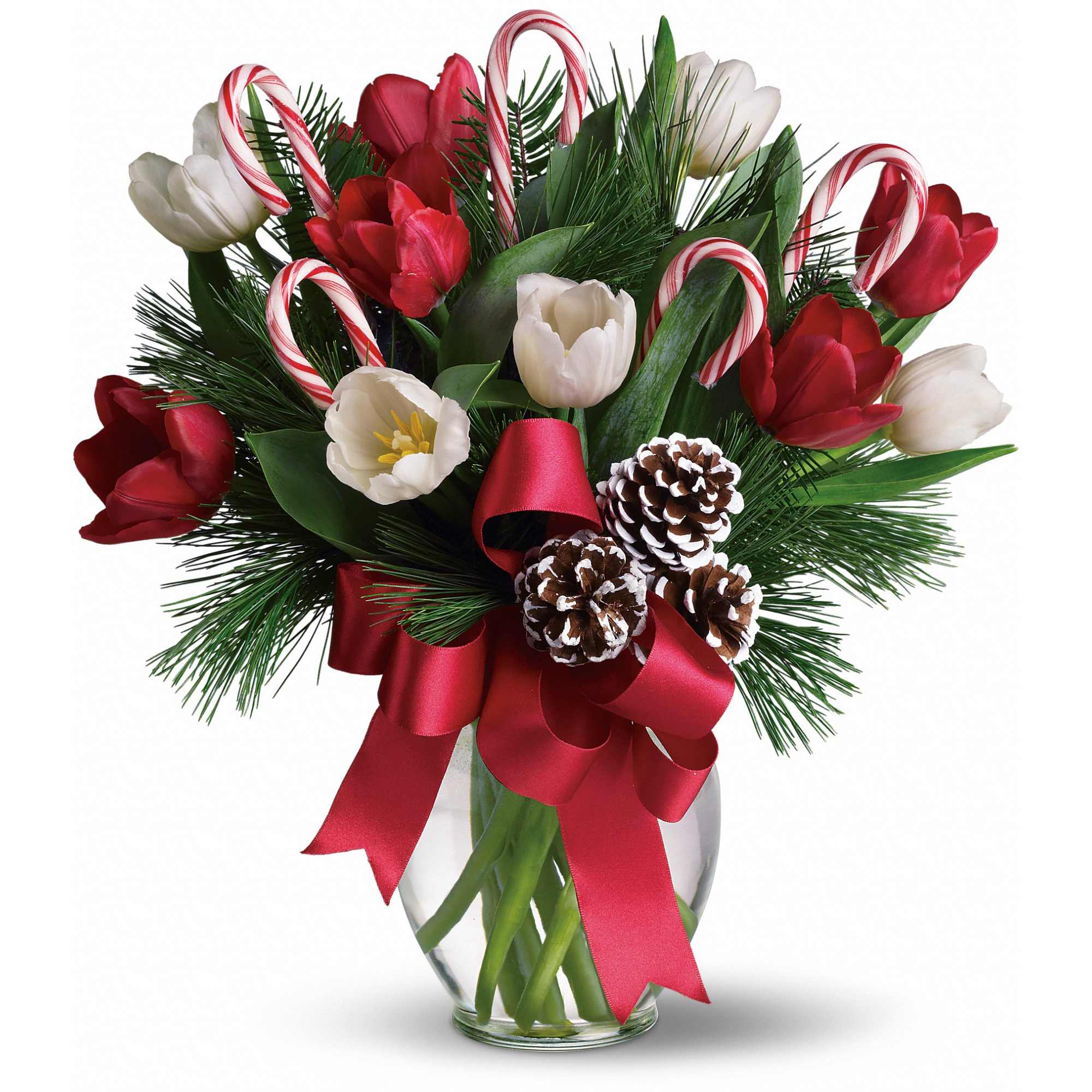 By Golly It's Jolly - Imagine what would happen if you combined everyone's holiday favorites and arranged them in a beautiful Christmas bouquet. The results would be very sweet indeed, as they are in this fantastic gift!    Bright red and white tulips, real candy canes, pinecones and holiday greens in a pretty ginger vase come all wrapped up in a pretty holiday bow. Eye candy with real candy, what a treat.    Approximately 14" W x 15 1/2" H    Orientation: All-Around    As Shown : T118-2A  Deluxe : T118-2B  Premium : T118-2C
