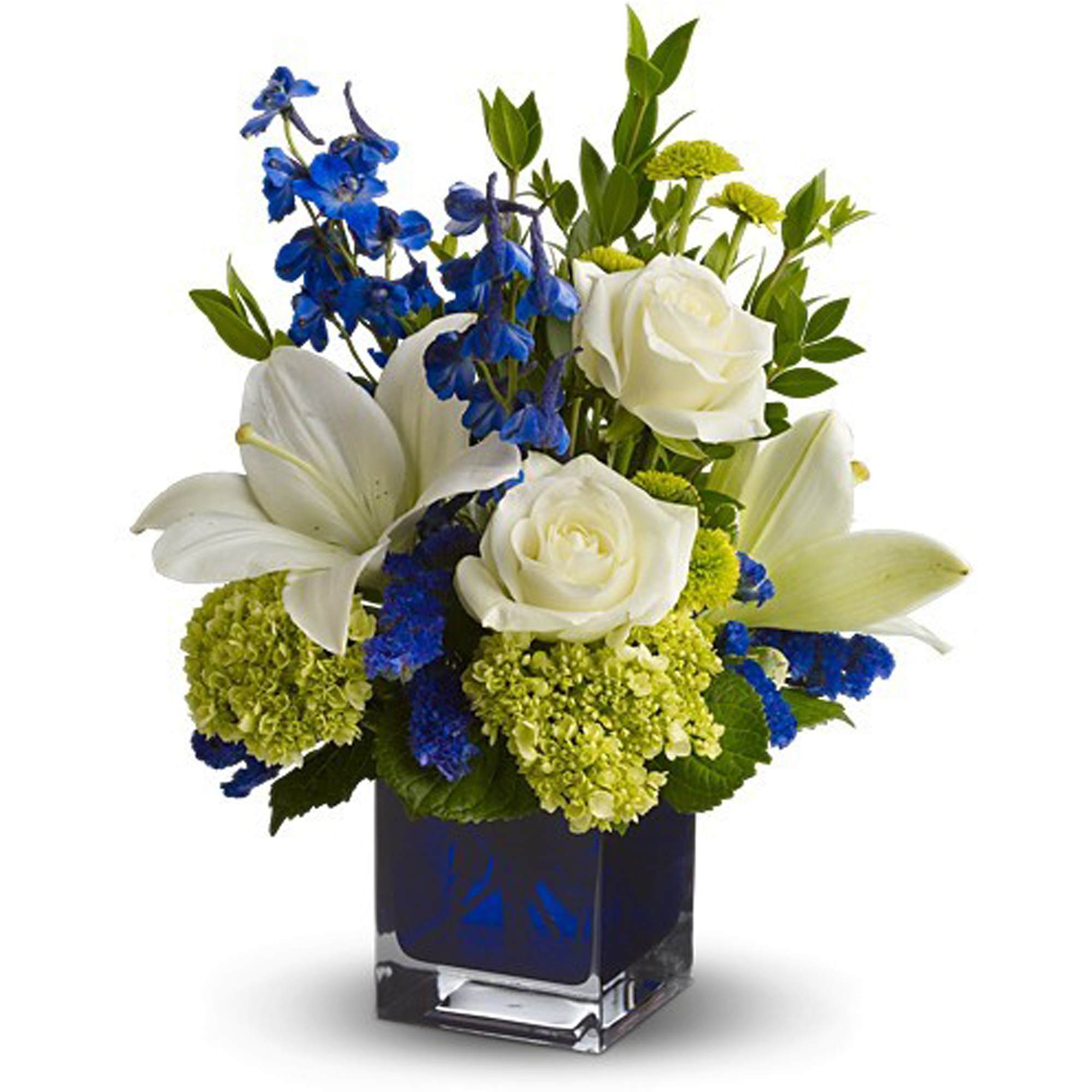 Serenade in Blue - A song for the eyes, this exquisitely lyrical bouquet in a chic contemporary glass cube vase is sure to impress anyone. Those with an eye for design are in for a special treat.  The stunning bouquet includes white Asiatic lilies, viburnum, dark blue delphinium, white roses, green button spray chrysanthemums and blue statice accented with assorted greens.  Delivered in a blue contemporary glass cube vase.  Bouquet is approximately 16â H x 13â W  Orientation: All-Around  As Shown : TFWEB606