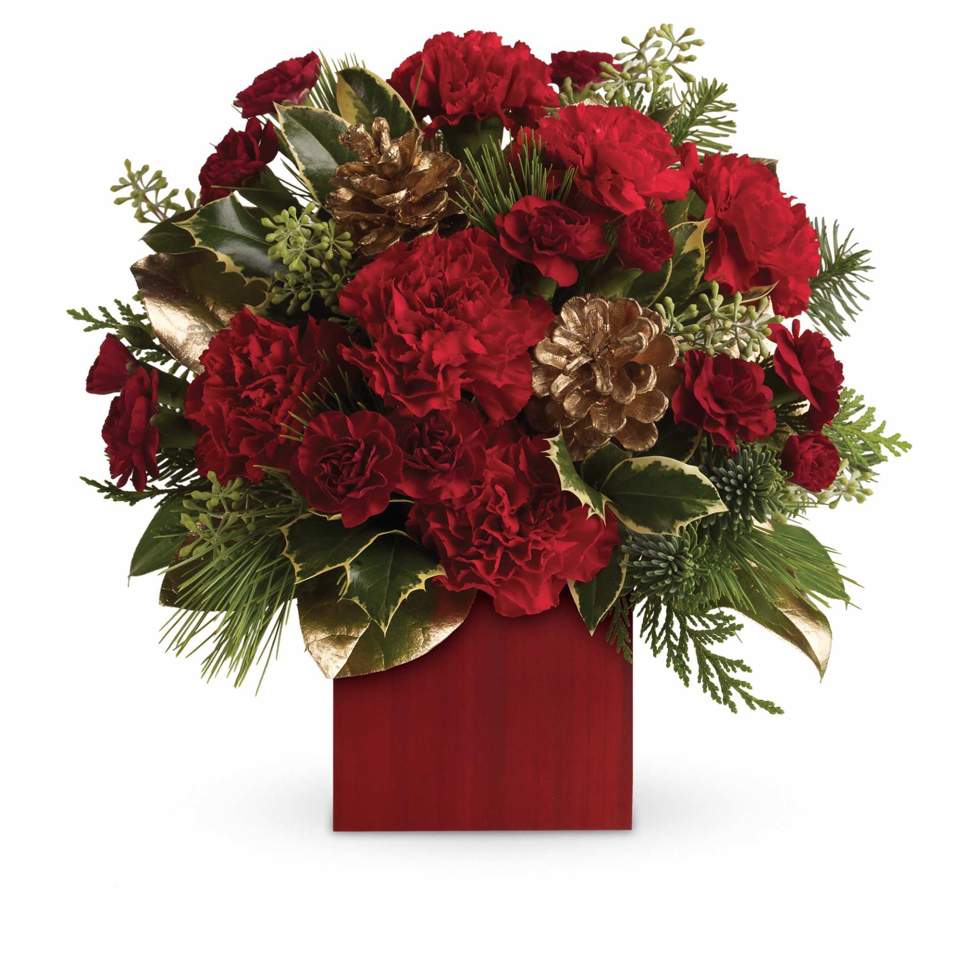 Laughter and Cheer - Warm up cold winter days with good cheer! Red roses are delightfully arranged in our rich red bamboo cube.  Red carnations and maroon miniature carnations are accented with tips of noble fir, flat cedar, holly, white pine and assorted greens. Delivered in Teleflora's red bamboo cube.  Approximately 12" W x 12" H  Orientation: One-Sided  As Shown : TWR02-2A Deluxe : TWR02-2B