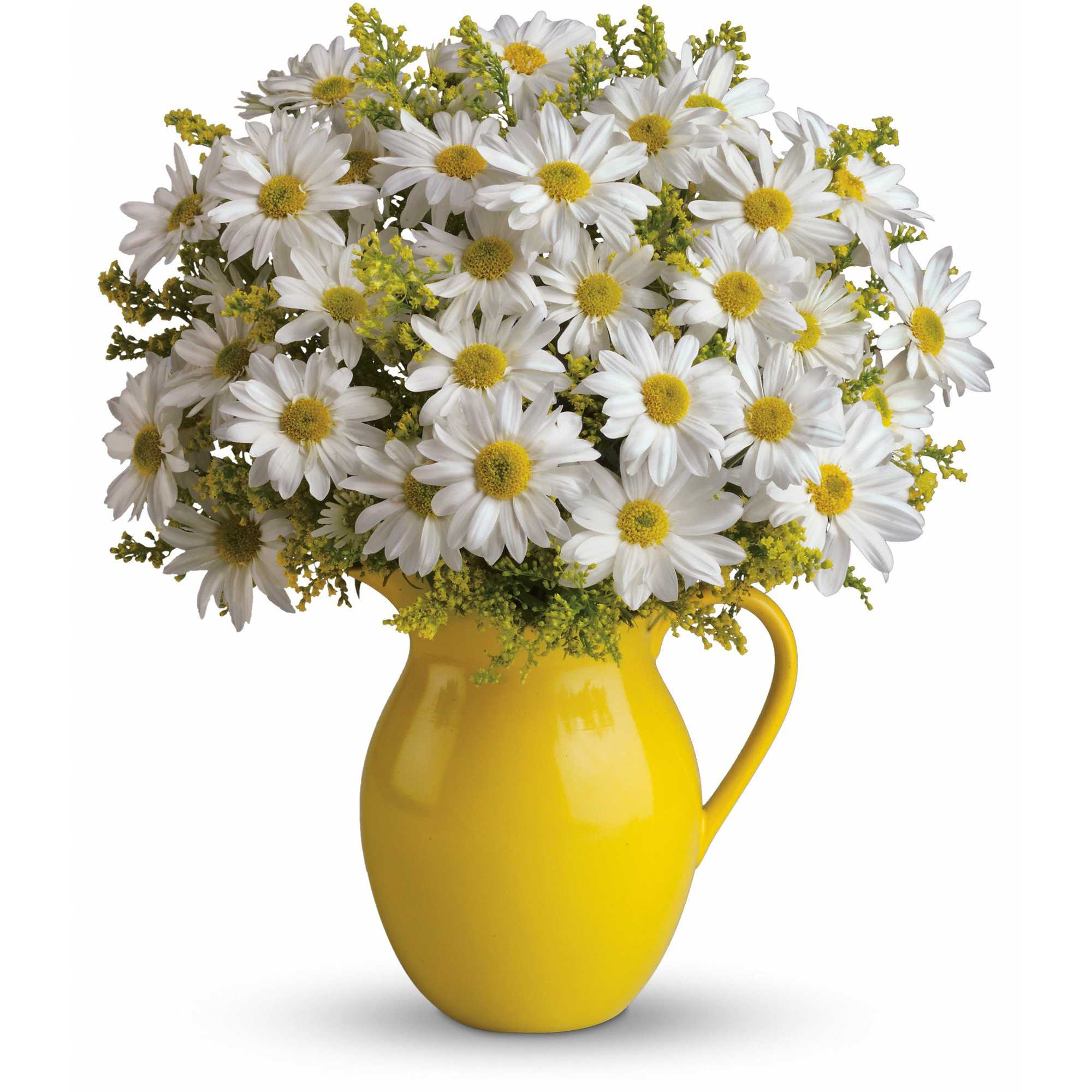 Sunny Day Pitcher of Daisies - Picture someone receiving this sunny pitcher of daisies! It's so bright and full of warmth, it's guaranteed to make them smile. Besides being the perfect bouquet for any occasion, the dazzling yellow ceramic pitcher can be used and enjoyed for years to come. 