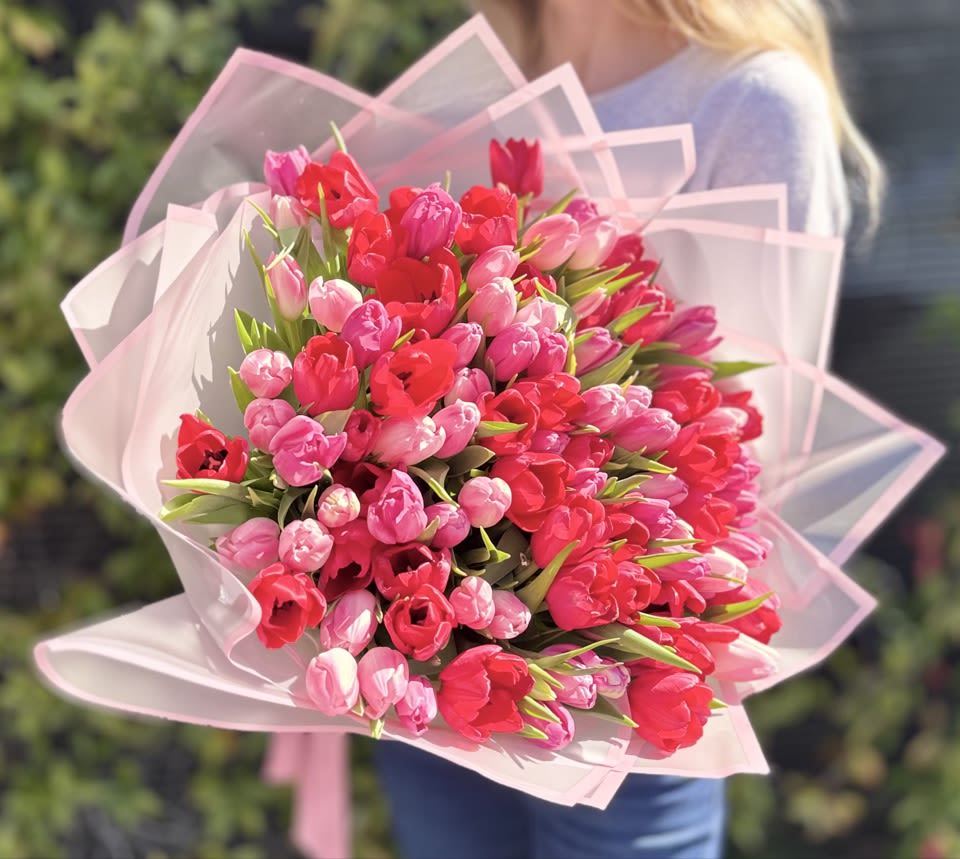 100 Tulips bouquet– Luxury Romantic Bouquet by Hollywood Blooms - Indulge in pure floral luxury with our breathtaking bouquet of 100 pink and red tulips — a signature design from Hollywood Blooms, your trusted Los Angeles luxury florist. This elegant arrangement features premium fresh tulips carefully selected for their vibrant color, long stems, and flawless bloom. Each flower is hand-arranged to create a lush, full bouquet that radiates romance, sophistication, and beauty.  Perfect for anniversaries, birthdays, Valentine’s Day, romantic surprises, or luxury gifts, this bouquet symbolizes love and admiration in every petal. Wrapped in designer pink paper and finished with a satin ribbon, it makes a stunning statement for any occasion.  Order your tulip bouquet delivery in Los Angeles today and experience the artistry of Hollywood Blooms, known for same day flower delivery in Hollywood, Beverly Hills, West Hollywood, and across Los Angeles. Elevate every moment with the timeless charm of luxury flowers in Los Angeles handcrafted with passion and care.