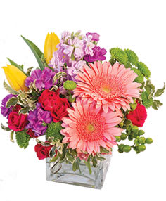Birthday Confetti - " square vase foliage: var. mini pittosporum 2 pink gerberas 2 yellow tulips 2 stems pink miniature spray roses (separated) 1 stem green button poms 2 stems purple mini carnations 1 stem lavender stock 1 stem hypericum  Copyright Flower Shop Network