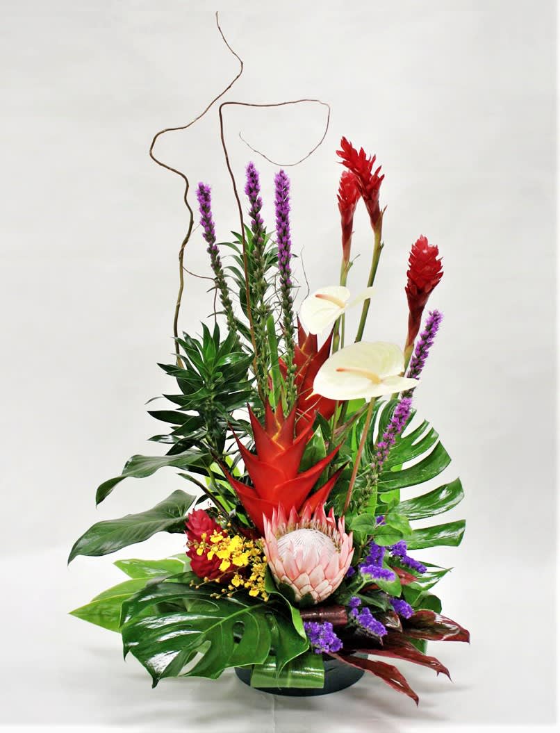 Native Gardens - Spoil a special someone or convey heartfelt congratulations with our gorgeous grand floral arrangement showcasing the best of tropicals: king protea, ginger flower, and anthuriums. This stunning bouquet is perfect for making a bold statement and bringing the exotic beauty of tropical flowers to any occasion.  Key Features:  Exotic Tropical Selection: Features premium tropical blooms including king protea, ginger flower, and anthuriums, known for their striking appearance and unique shapes.  Luxurious and Grand: Designed to impress with its size and beauty, making it an impressive gift or centerpiece for special celebrations.  Perfect for Special Occasions: Ideal for congratulating someone on a store opening, celebrating achievements, or sending a memorable gift to express admiration.  Handcrafted Excellence: Expertly arranged to showcase each flower's natural beauty and create a harmonious blend of colors and textures.  Celebrate in style with our Grand Tropical Floral Arrangement, and delight someone special with the luxurious beauty of exotic tropical blooms.