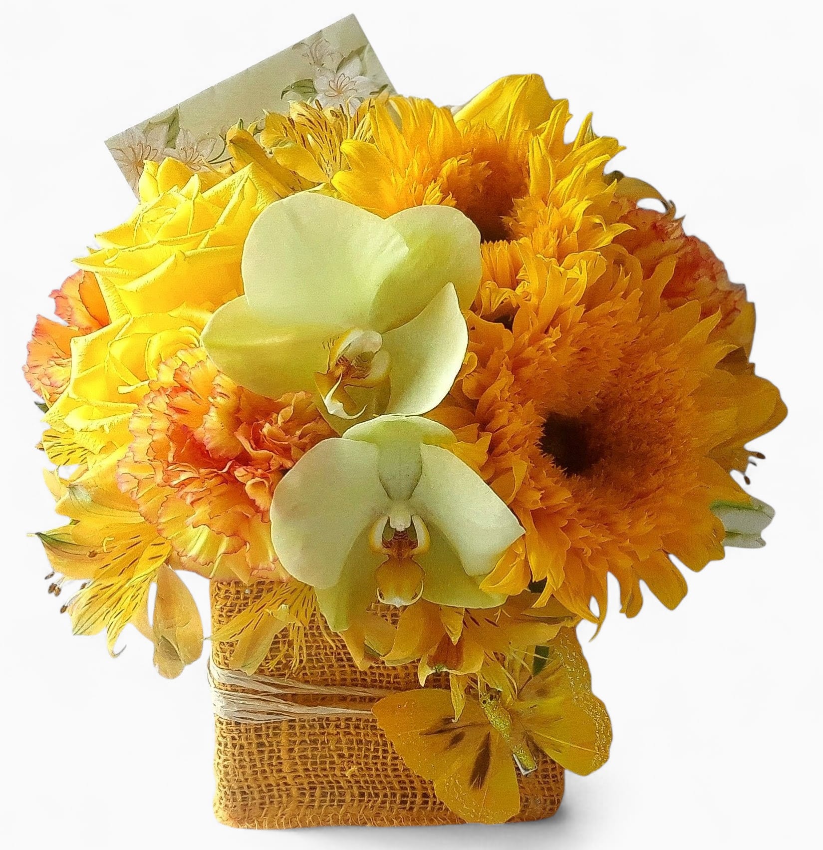 You Are My Sunshine Bouquet Designer's Choice - Send this beauty today to make them smile with it's lovely sunny cheerful mix of yellow blossoms of the day roses orchids daisies and more arranged in a modern glass cube vase wrapped in pretty yellow jute ribbon. Perfect to send today for any reason. Always made extra special and unique each time. Send them happiness.