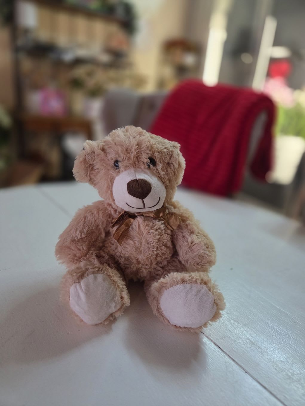 Small Stuffed Teddy - Small stuffed teddy bear is a perfect add on for any occasion! 