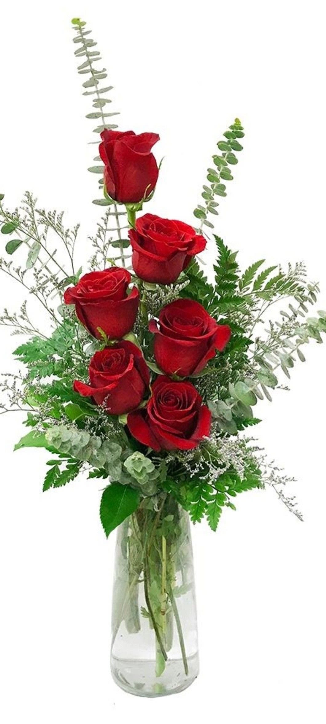 1/2 dozen roses - 1/2 dozen roses