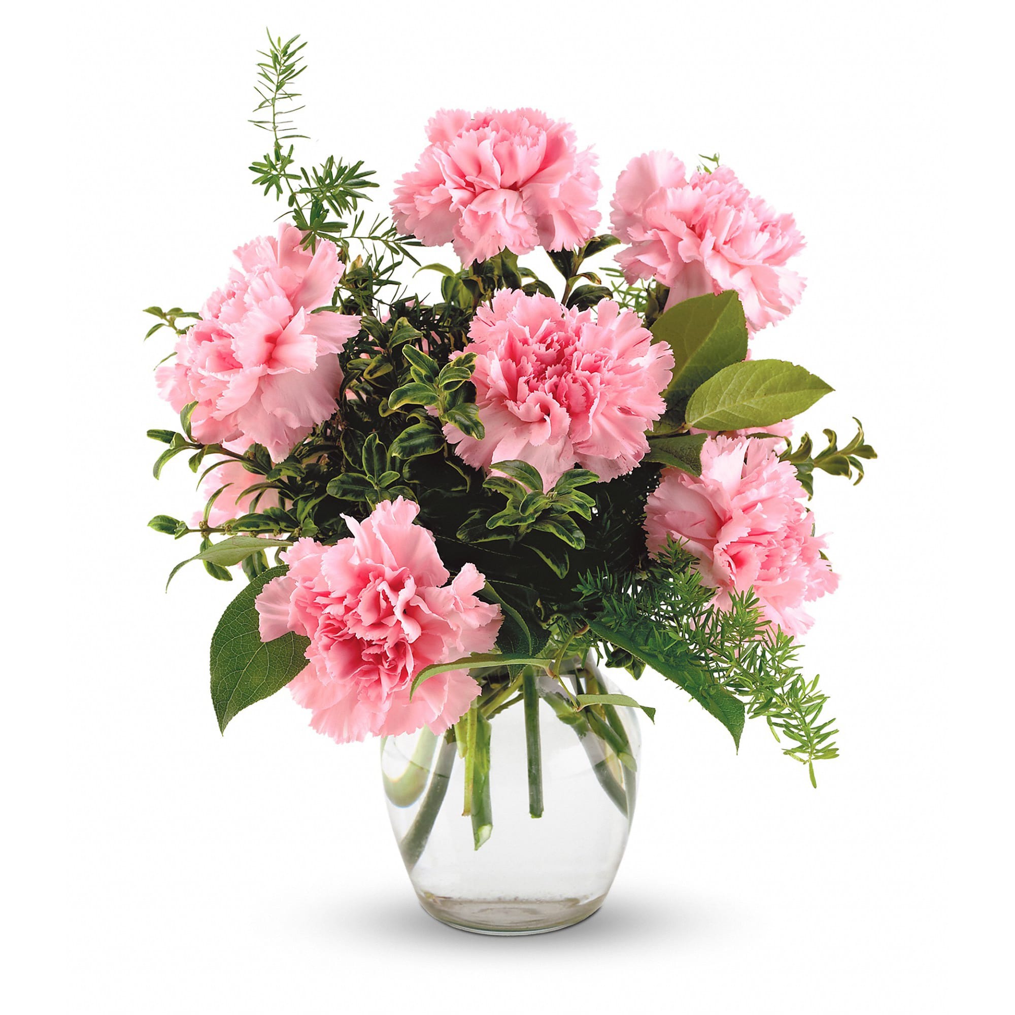 Pink Notion by Teleflora - Pure, long lasting enjoyment in a simple glass vase of carnations and mixed foliages. The perfect little treasure to show someone you care.  