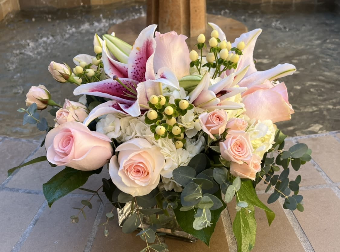 LITTLE LA JOLLA PRINCESS - Lovely! Soft and delicate with sweet aroma. 