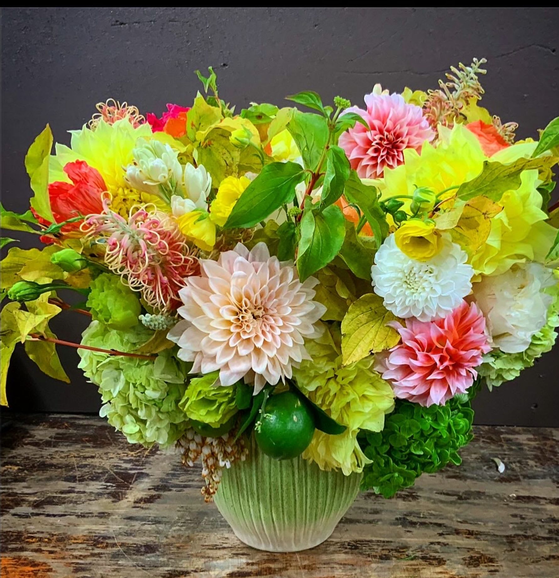 Tropical Sunrise - Exquisite Seasonal Garden Flowers