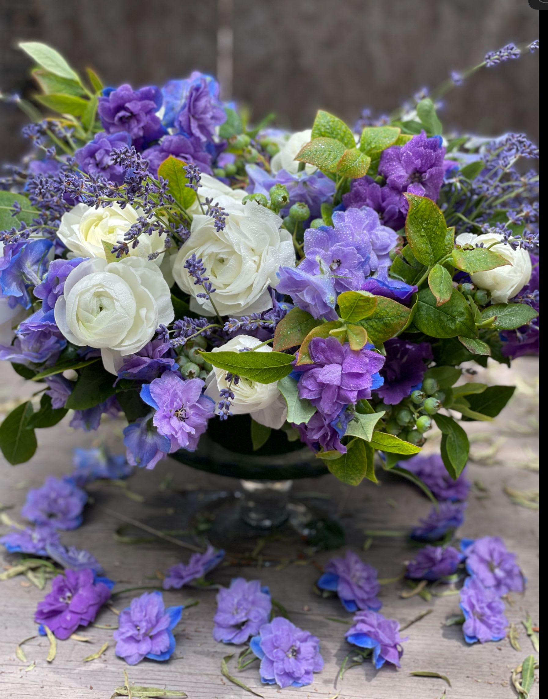 Forget Me Not - Exquisite Seasonal Garden Flowers