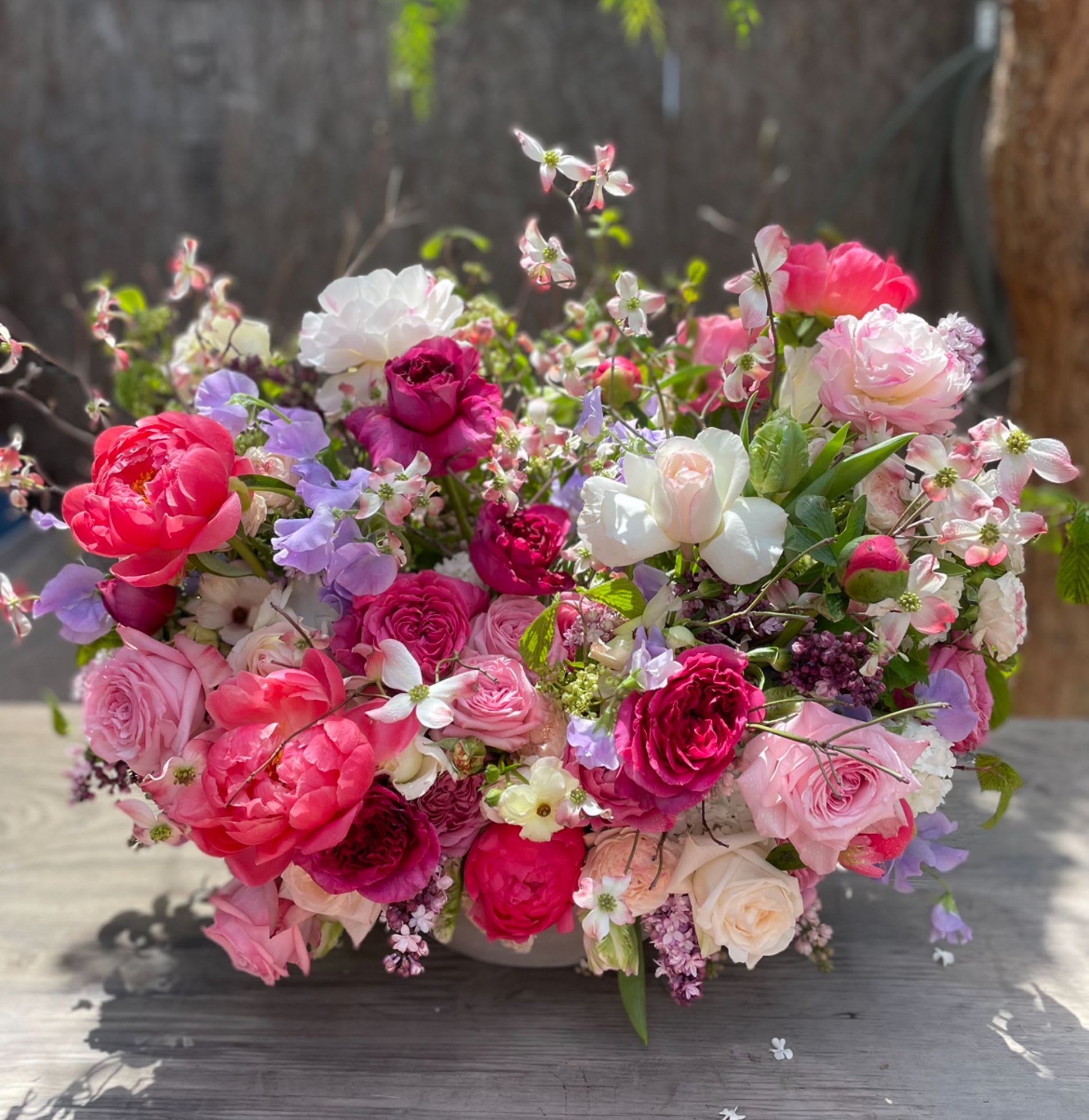 Breath of Fresh Air - Exquisite Seasonal Garden Flowers