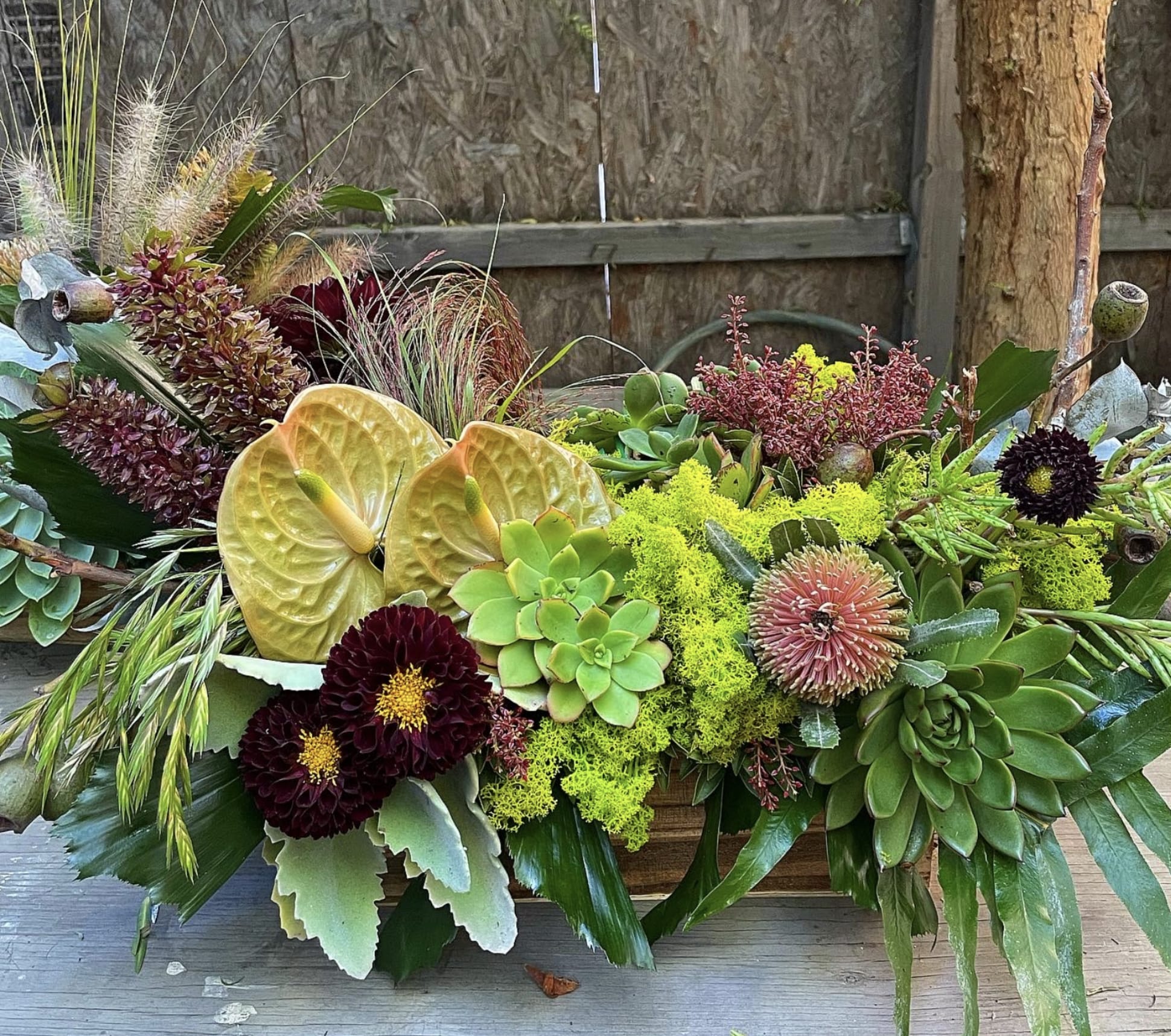 Coachella 1989 - Exquisite Seasonal Garden Flowers