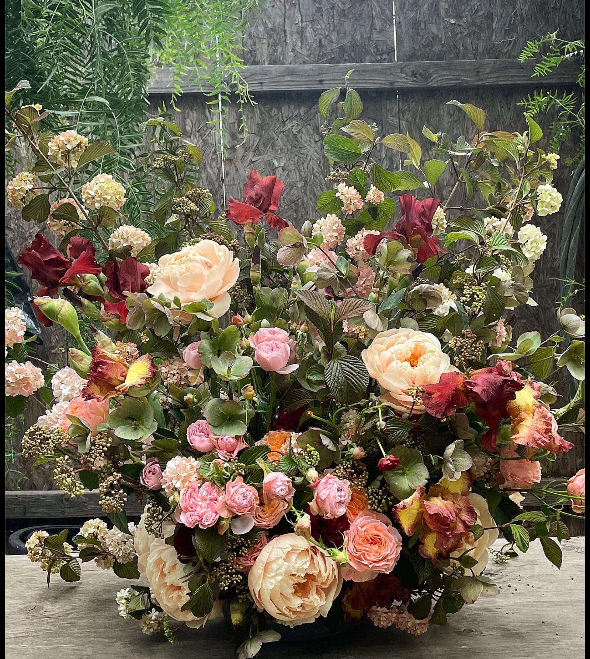 Land of Enchantment - Exquisite Seasonal Garden Flowers