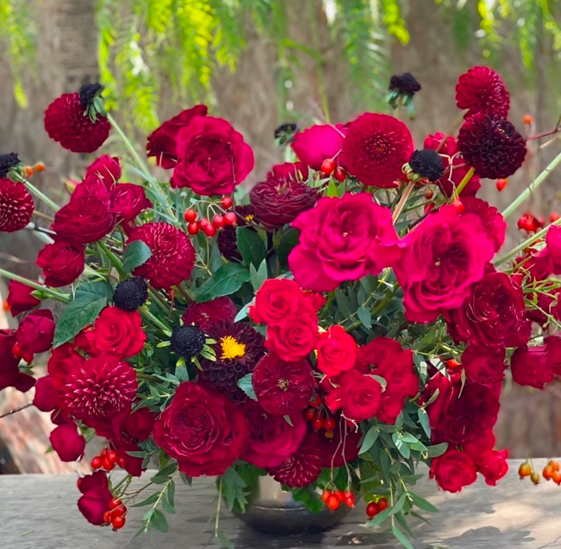 Moulin Rouge - Exquisite Seasonal Garden Flowers