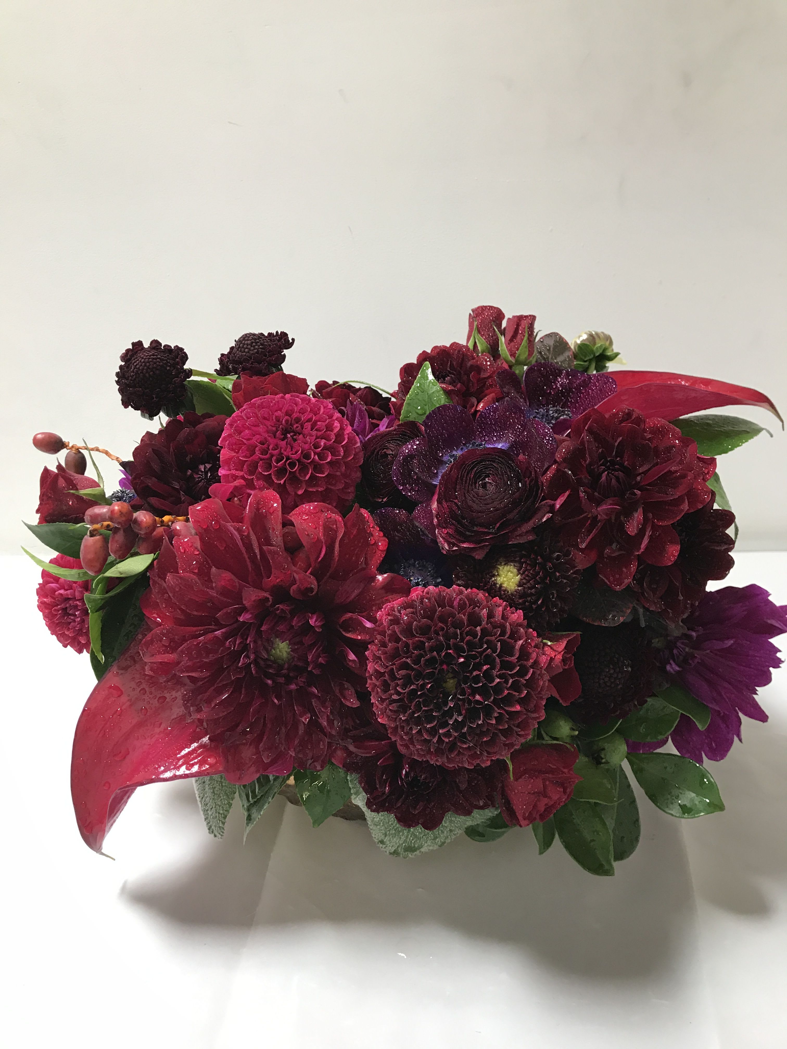 We're Bringing Sexy Back - Exquisite Seasonal Garden Flowers