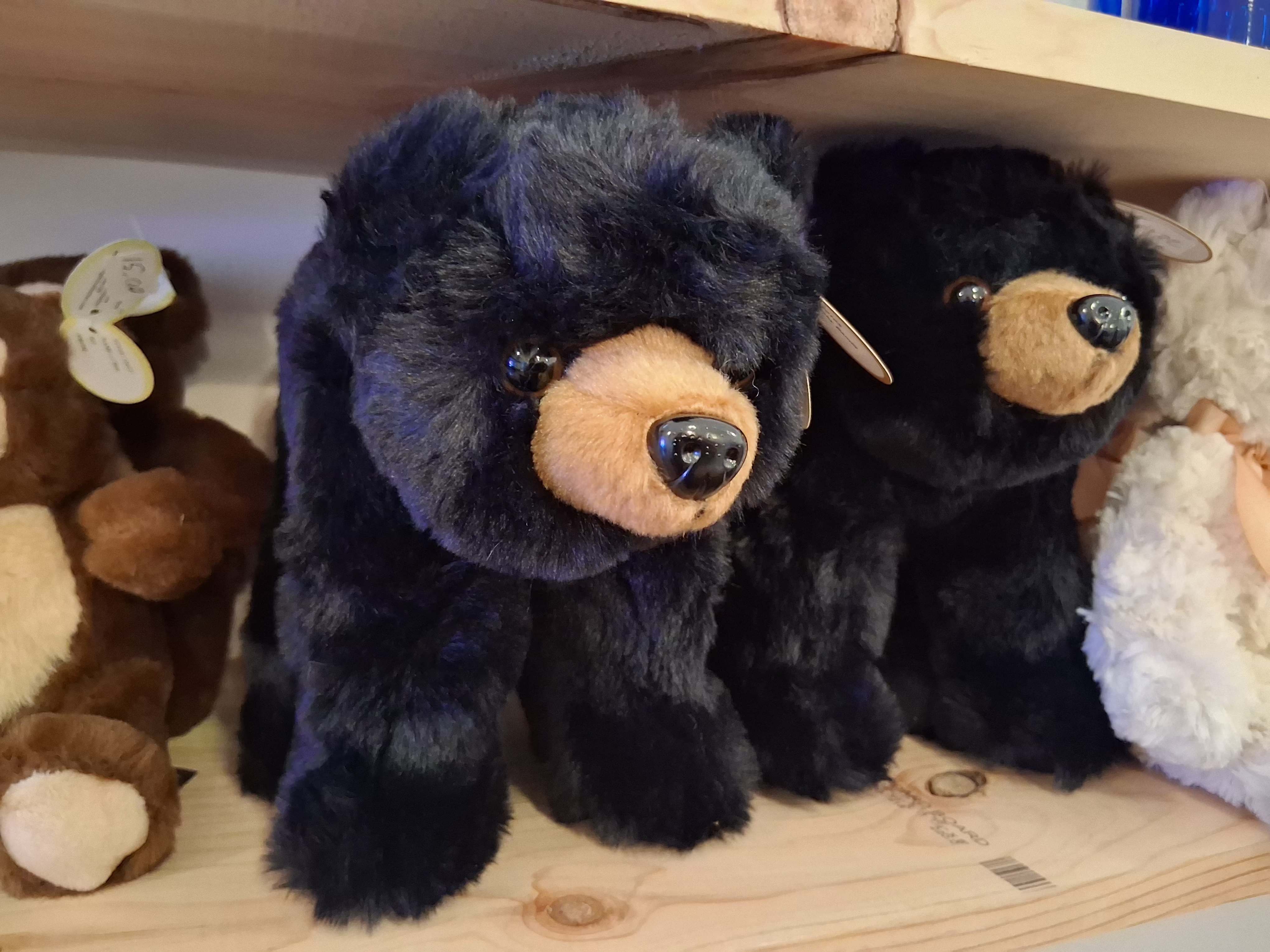 "Baby bandit" black teddy plush 8" standing - Cute black plush "Baby bandit" 8" standing black teddy bear 