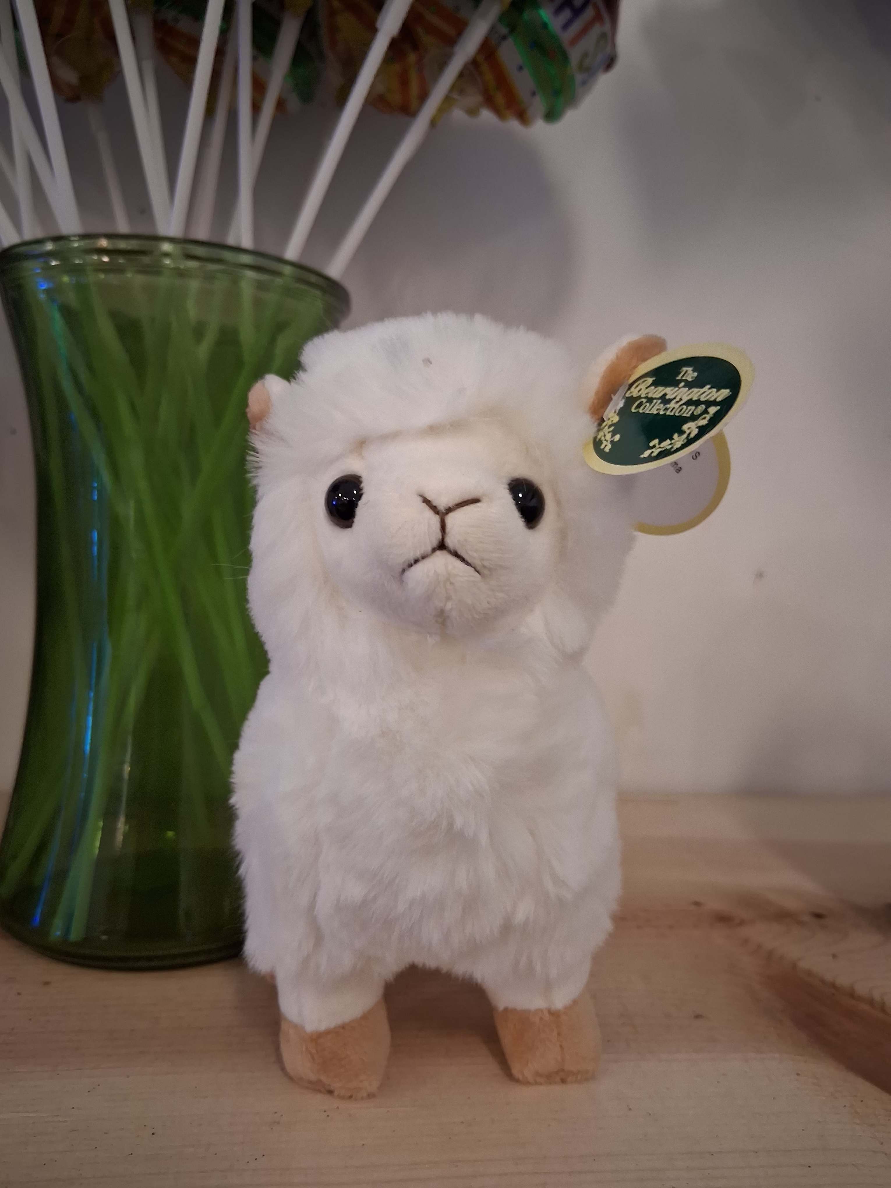 Beby lama "Lil Alma" - Cute sweet white baby lama Lil Alma makes you feel worm winter or summer. 7" tall standing.