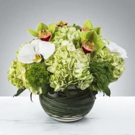 Smiles all Around by BloomNation™ - Two different types of orchids and hydrangea come together for this bubble of blooms. Send it as a gift for Admin Day, Employee Appreciation Week or Boss's Day.   APPROXIMATE DIMENSIONS 16" W X 14" H