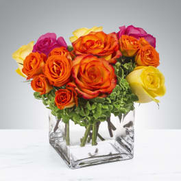 Bright Morning  - Pink, yellow and orange roses come together with green hydrangea for a bright cube of sunshine. This arrangement lights up any space and will improve anybody's day. A perfect gift for all occasions.   APPROXIMATE DIMENSIONS 10" W X 11" H 