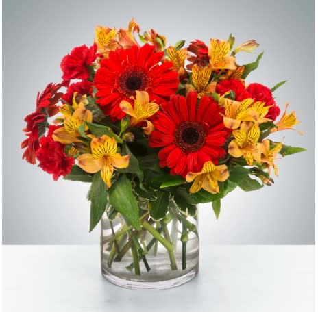 Cinnamon by BloomNation™ - This cinnamon-colored arrangement is a perfect taste of fall. Perfect for any occasion in the fall season, it features red gerbera daisies and yellow alstroemeria.  Approximate Dimensions: 10"D x 10"H
