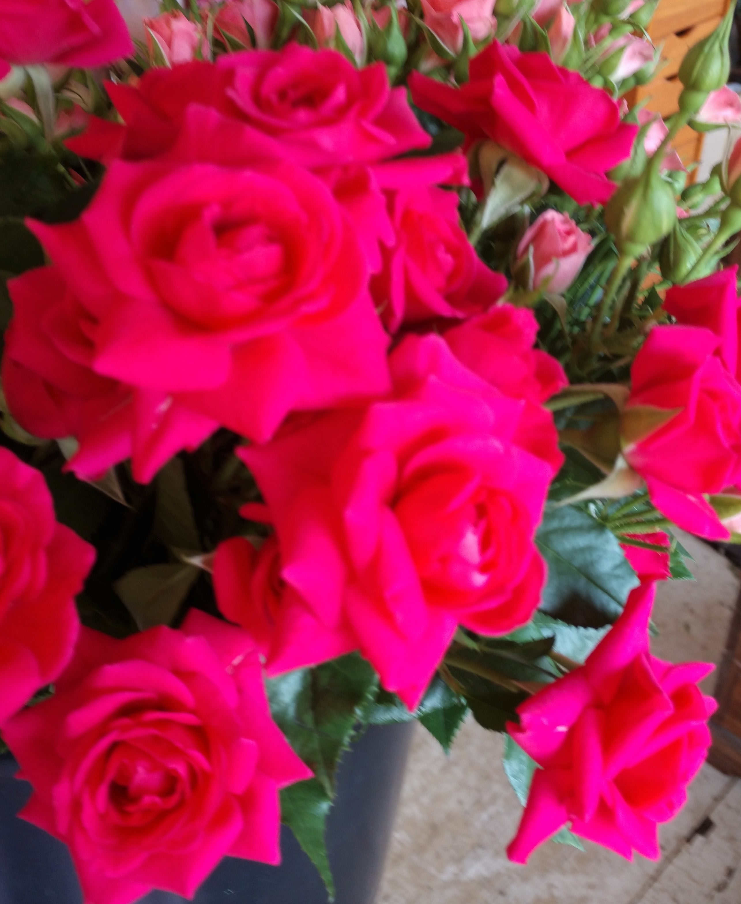 Fuchsia Rose Boutonniere - A designers choice boutonniere of fuchsia spray roses. 