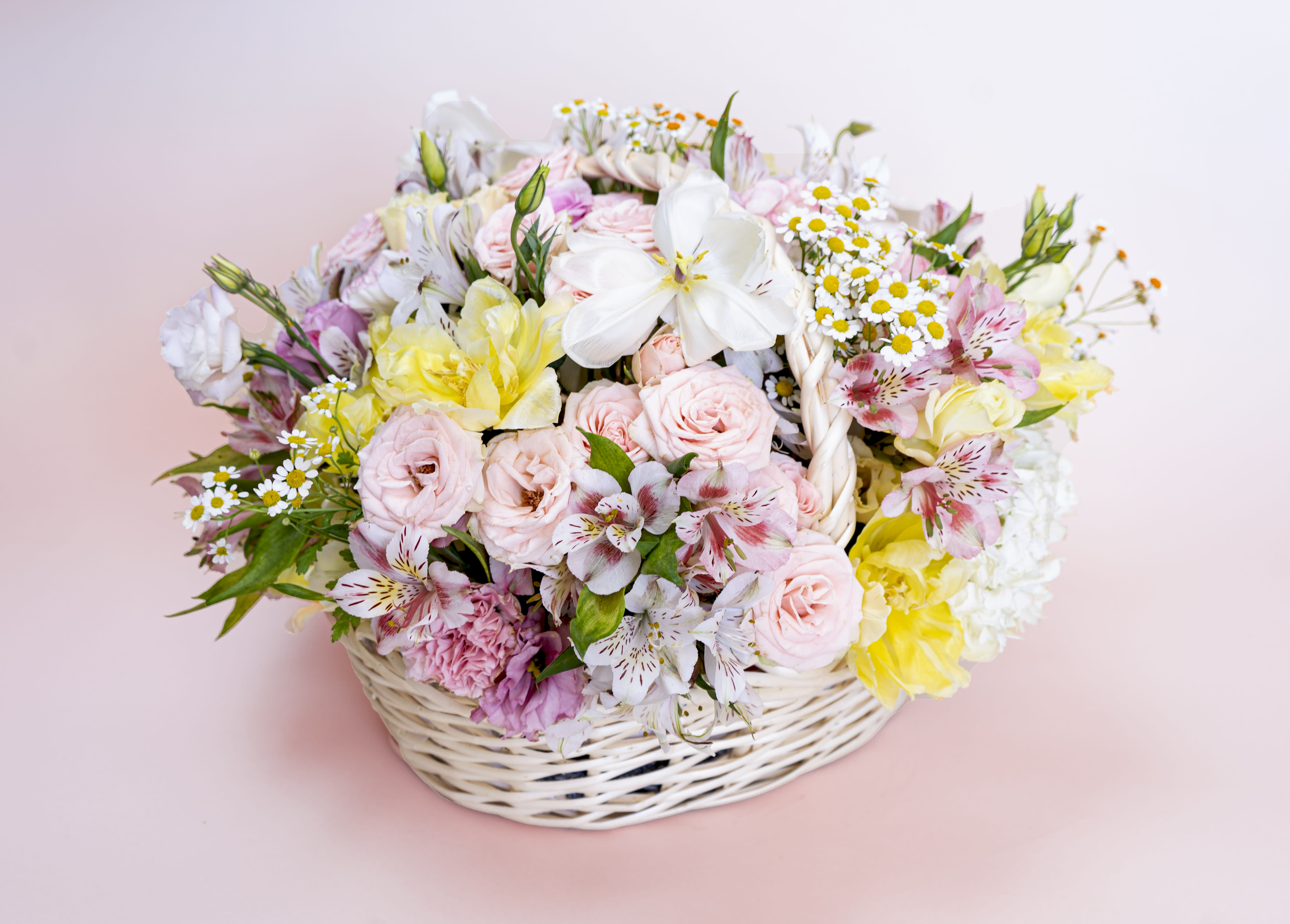 Blooming Arrangement in a basket - Bright-yellow tulips, chamomiles and light pink spray roses awaken the senses with sunny greetings for any occasion. Brighten someone's day today with this fall-inspired flower arrangement. It is a stunning and medium white bamboo basket.