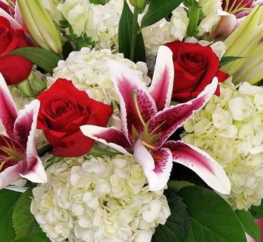 Designer choice hydrangea, Stargazers and other flowers to compliment - Beautiful mix of assorted flowers with hydrangeas. will not necessarily be flowers in photo but will have hydrangea 